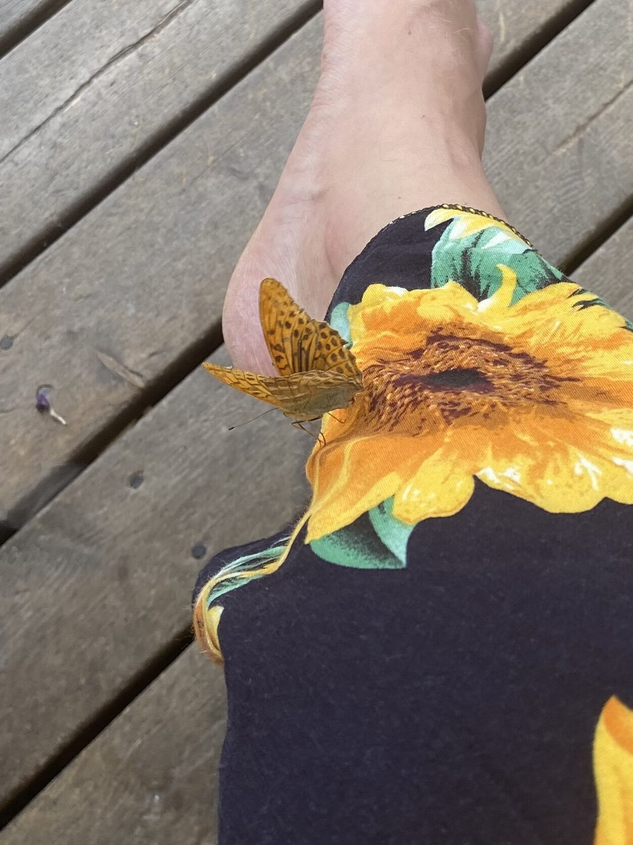 Valokuvaaja: Helena Nieminen