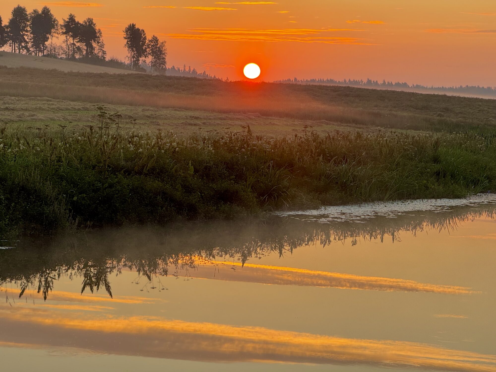 Valokuvaaja: Juhani Peltonen
