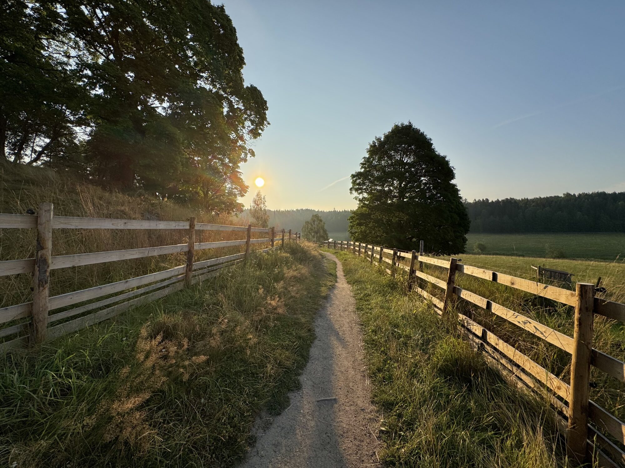 Valokuvaaja: Juhani Peltonen