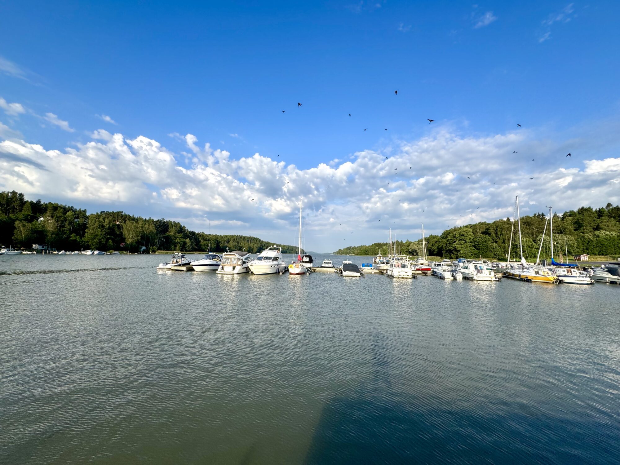 Valokuvaaja: Juhani Peltonen