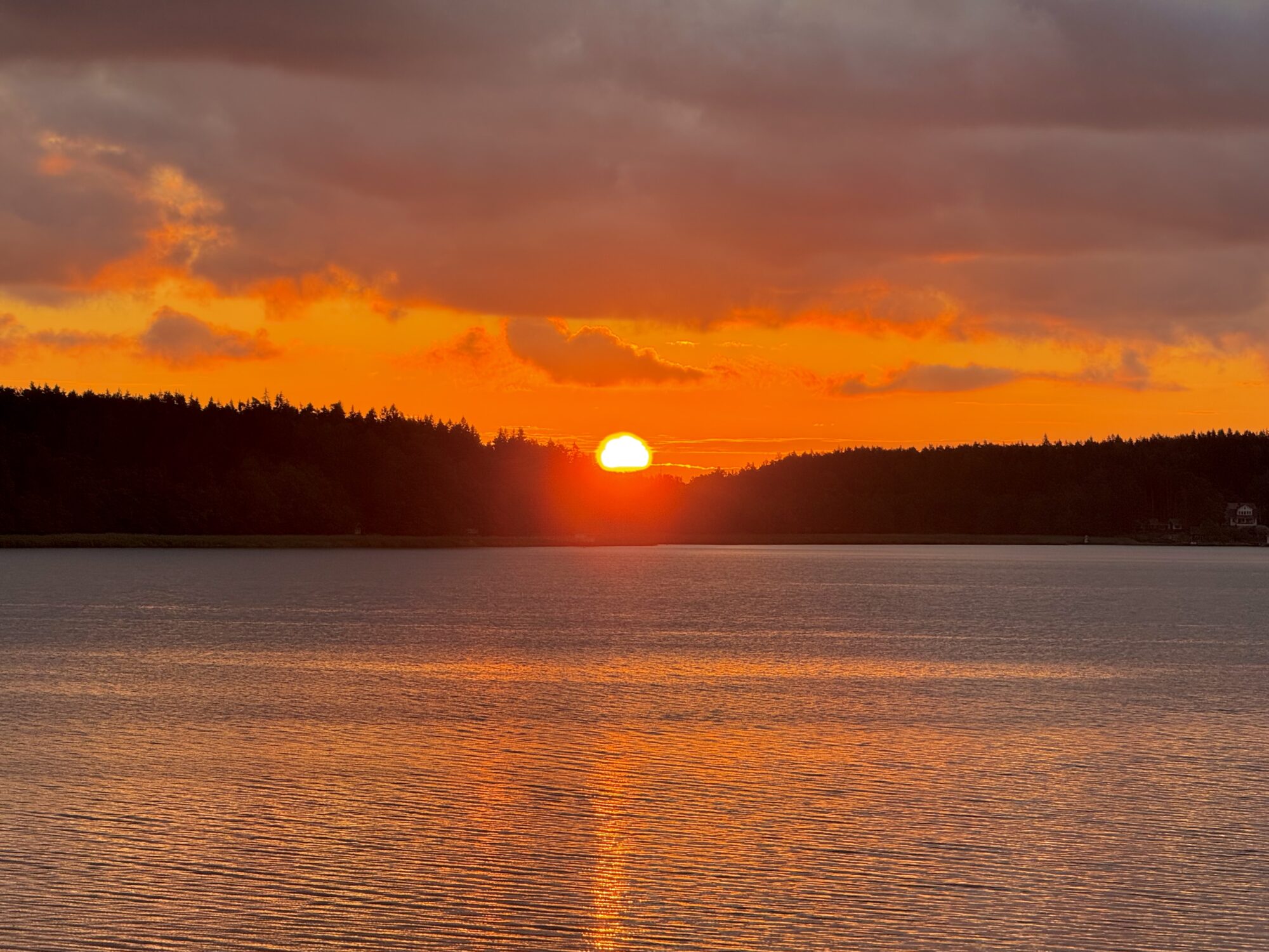 Valokuvaaja: Juhani Peltonen