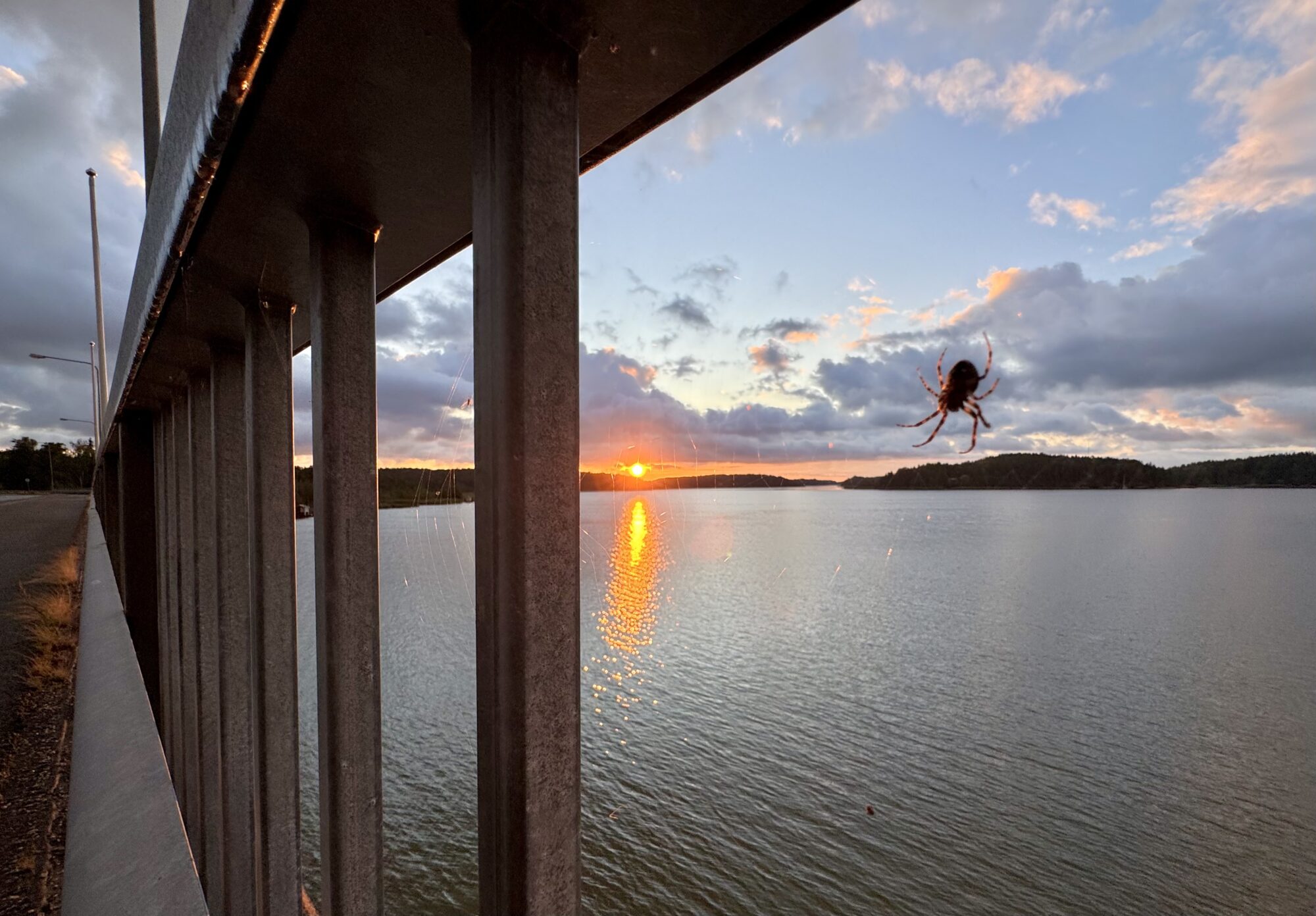 Valokuvaaja: Juhani Peltonen