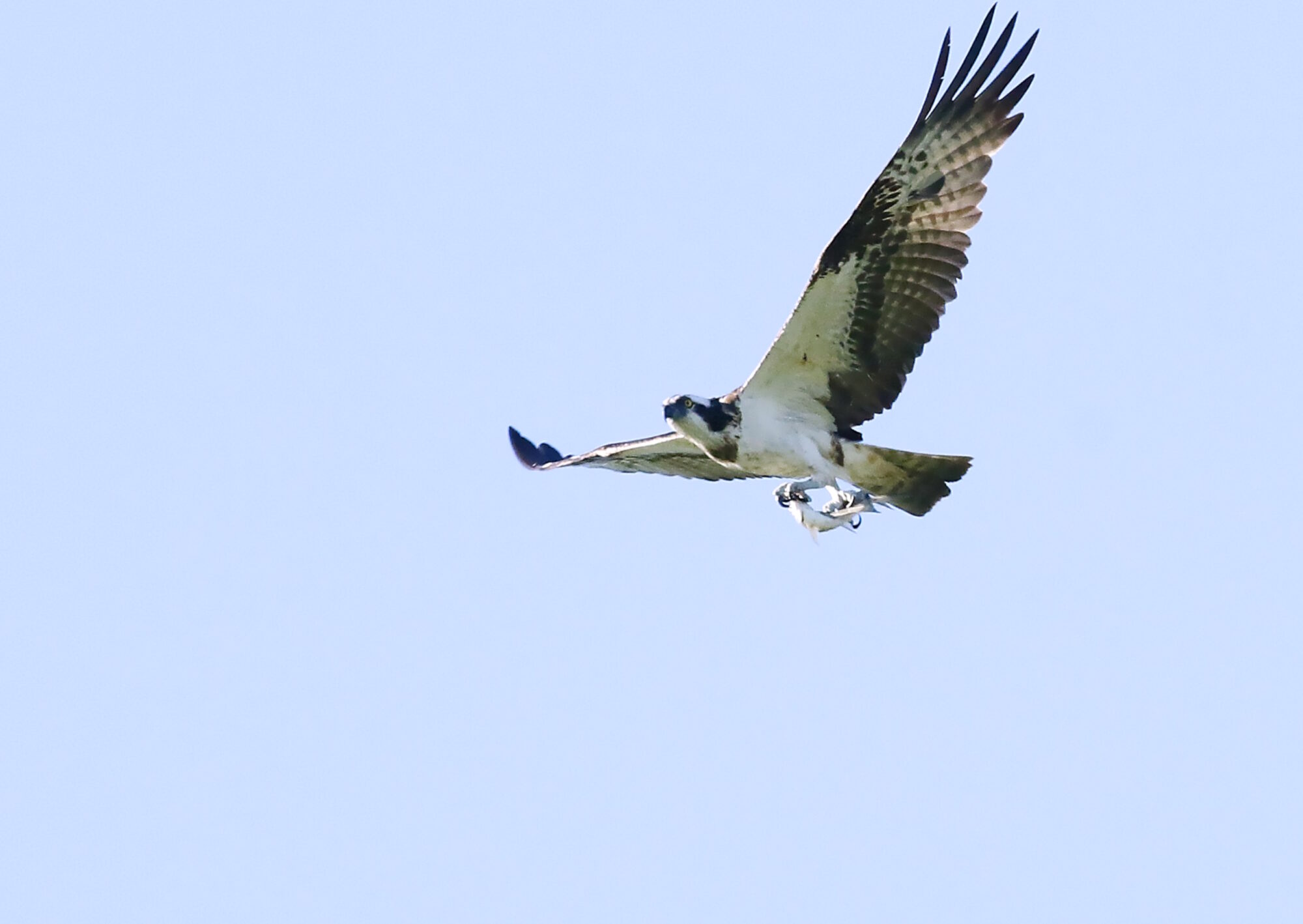 Valokuvaaja: Antero Tykkyläinen