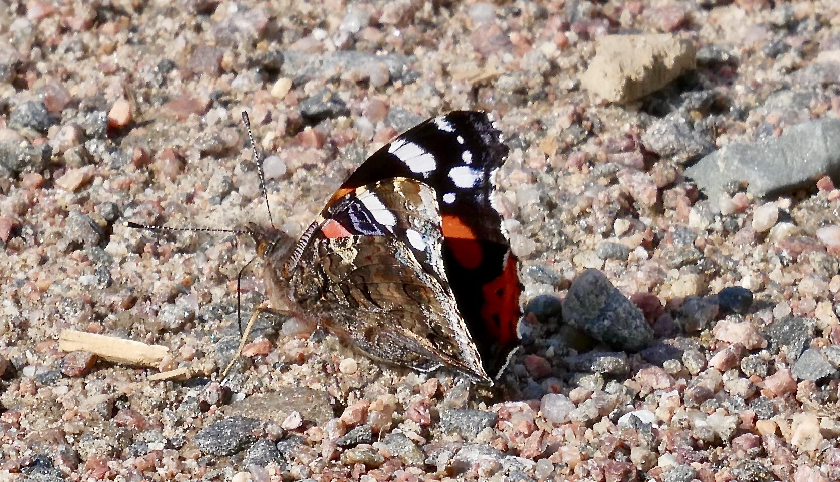 Valokuvaaja: Liisa Niiva-Korpela