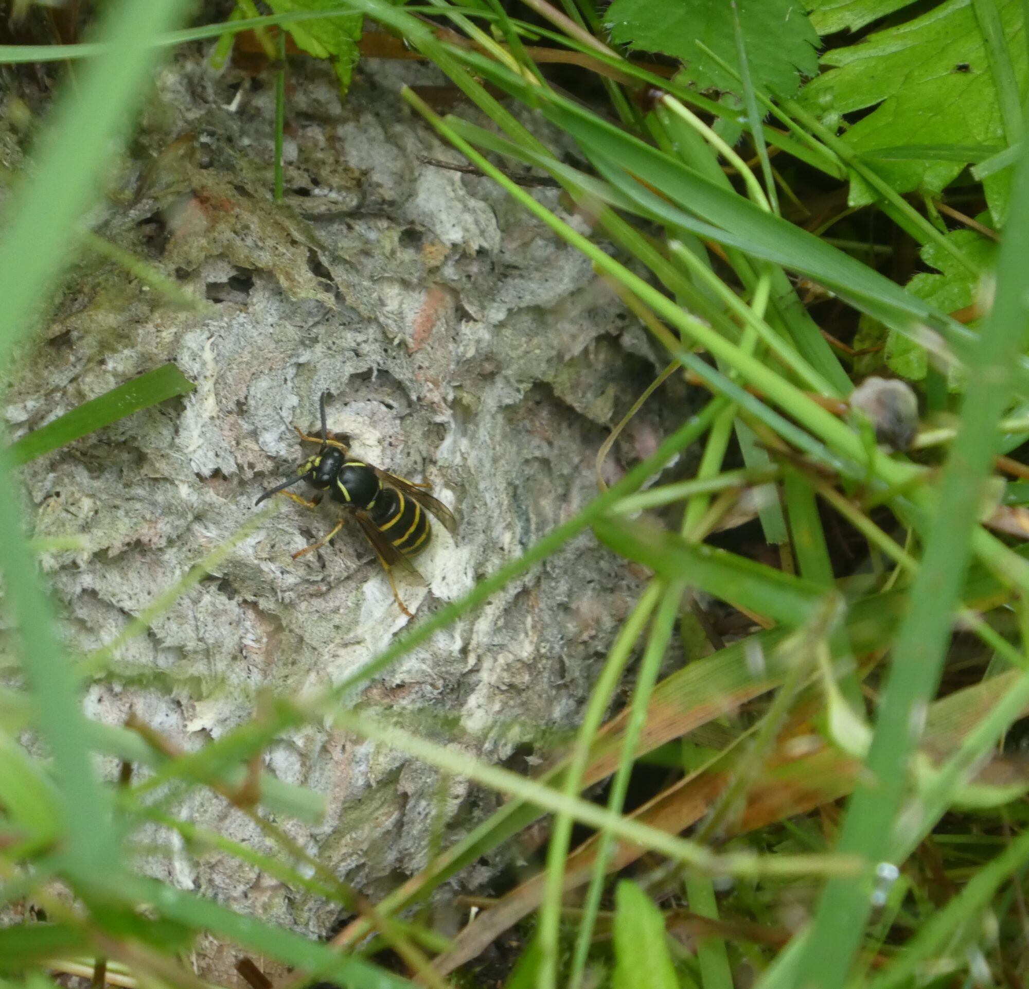 Valokuvaaja: Anja Mustamaa