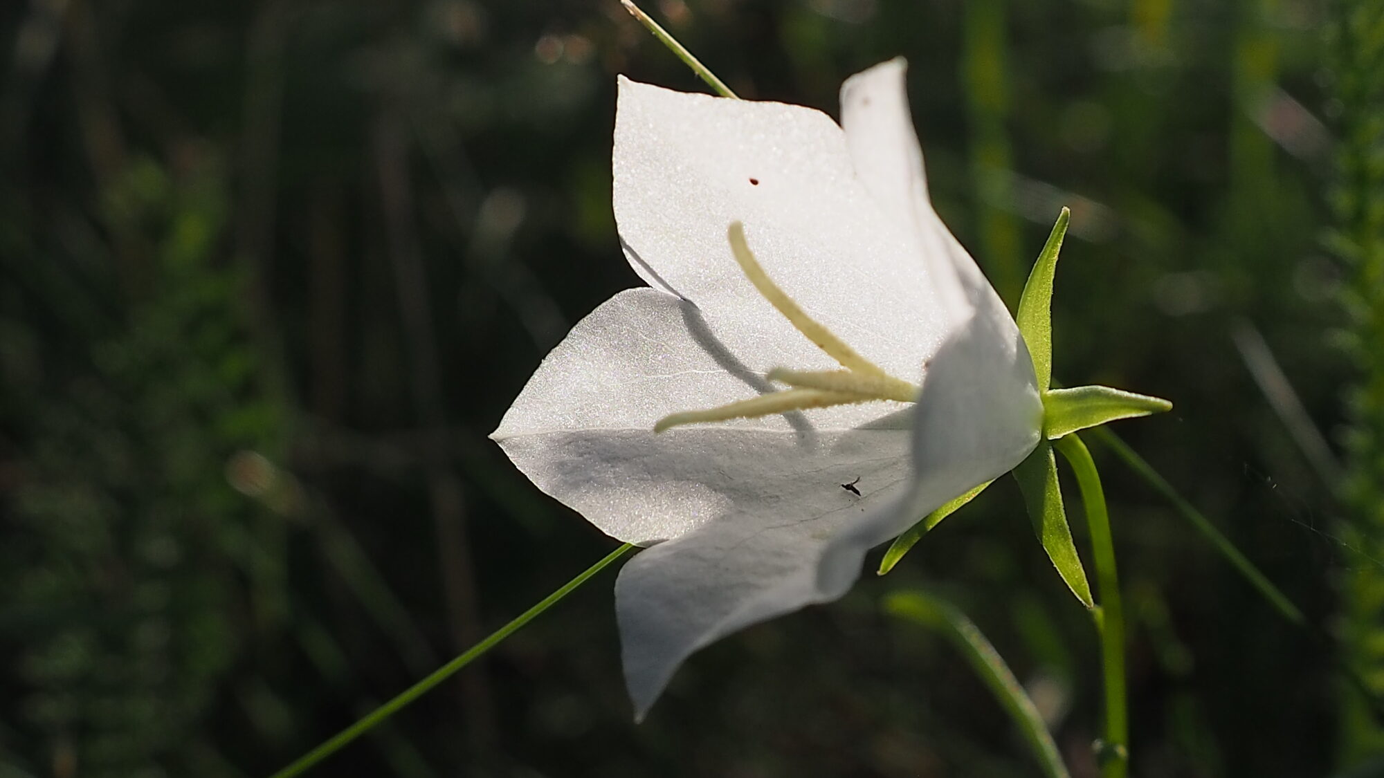 Valokuvaaja: Martti Valtonen