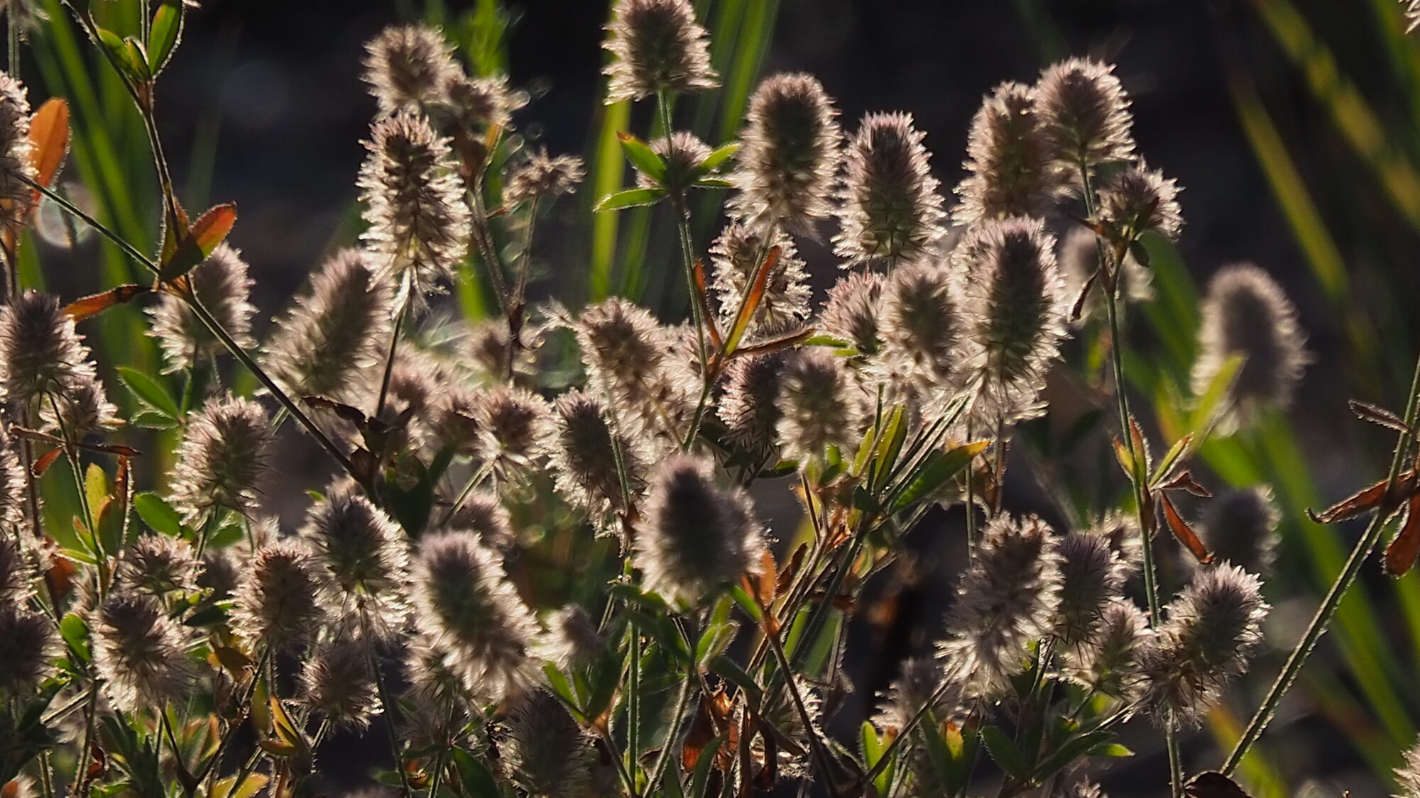 Valokuvaaja: Martti Valtonen