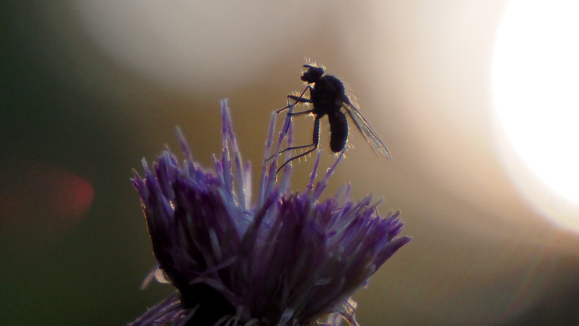 Valokuvaaja: Arja Valtonen