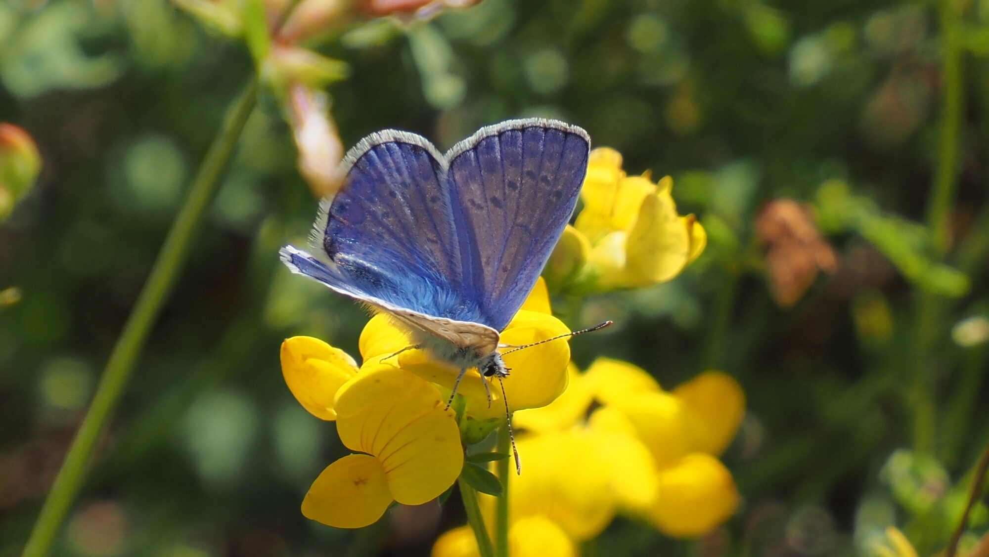 Valokuvaaja: Arja Valtonen