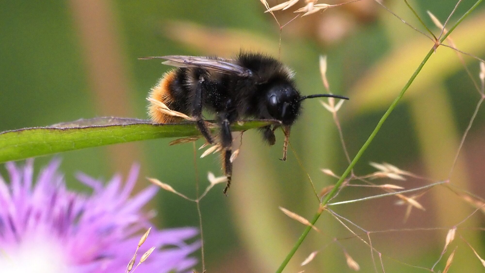 Valokuvaaja: Arja Valtonen