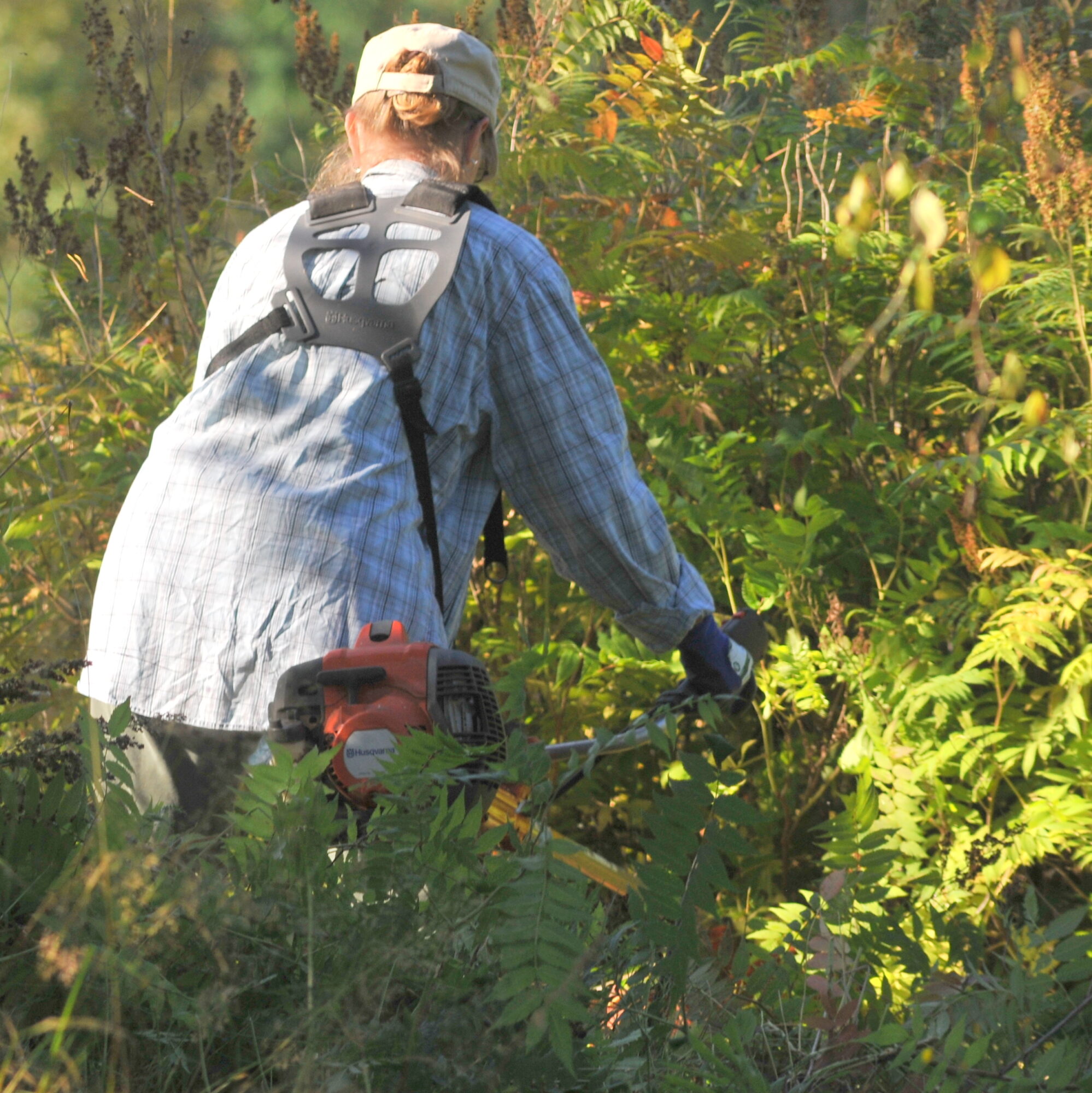 Valokuvaaja: Kaarlo Asikainen