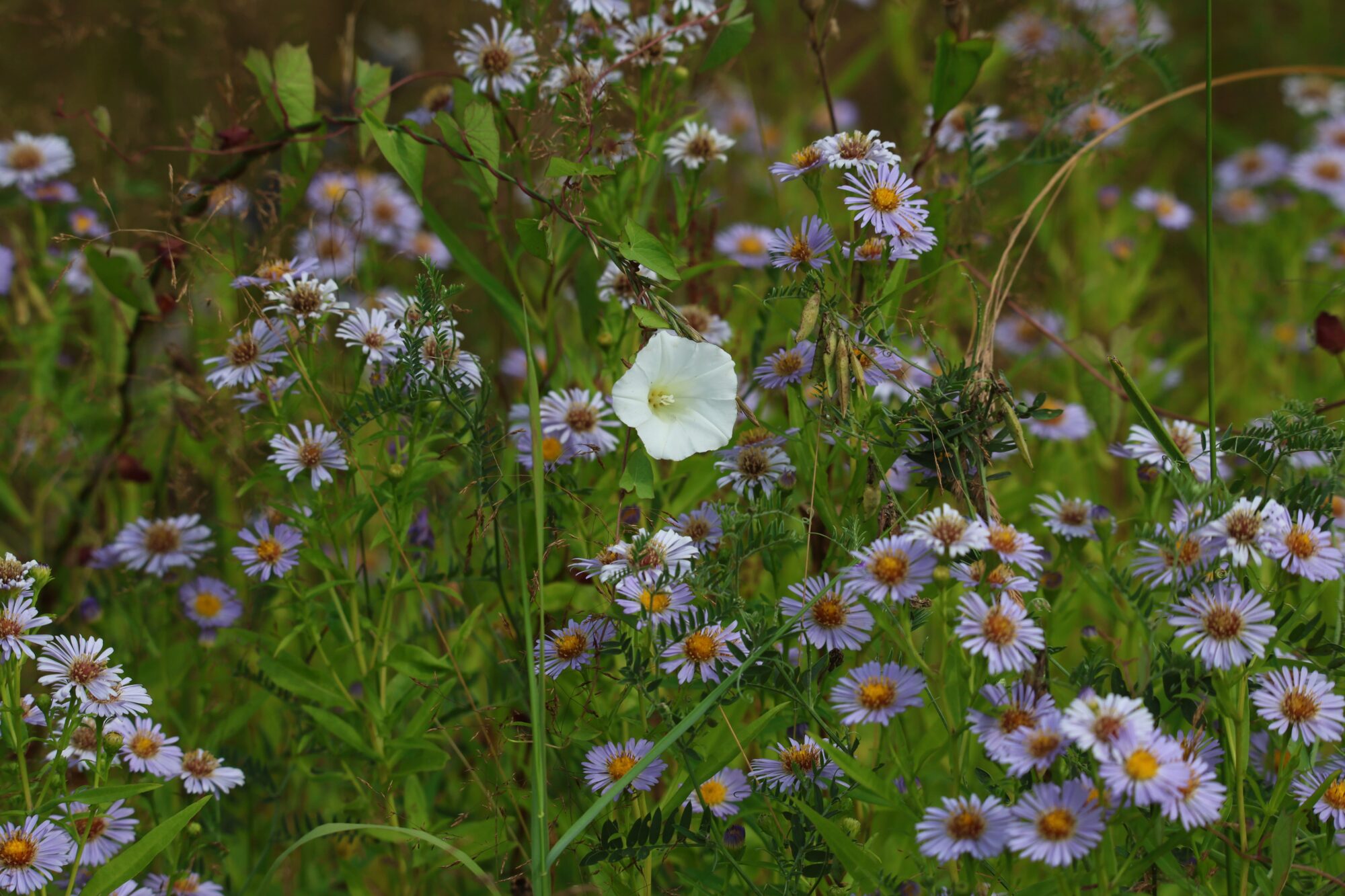 Valokuvaaja: Jaana Saarelainen