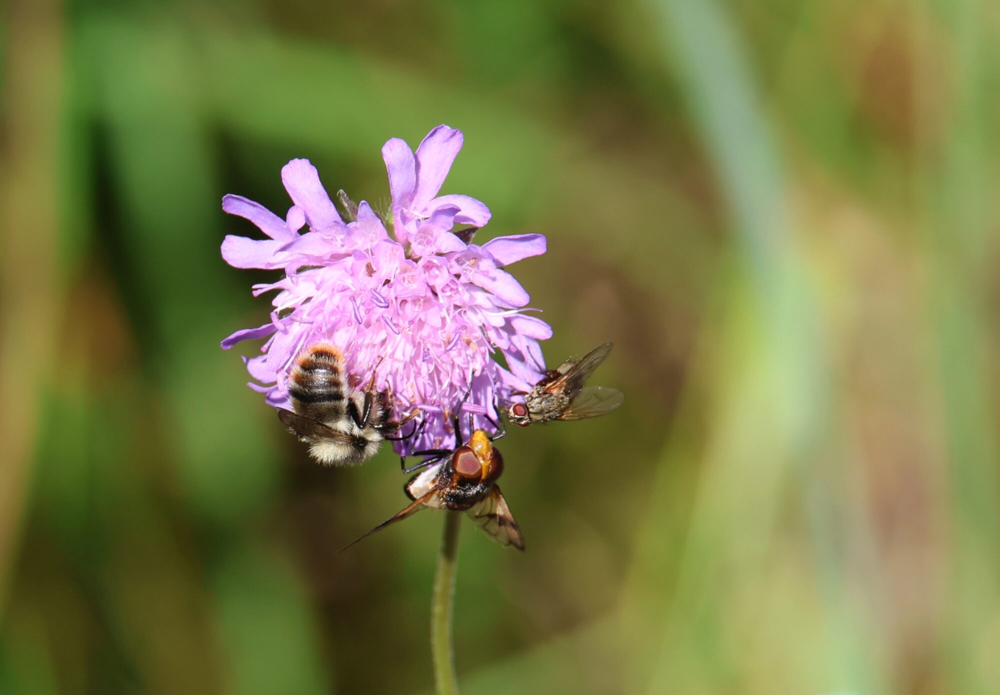 Valokuvaaja: Jaana Saarelainen