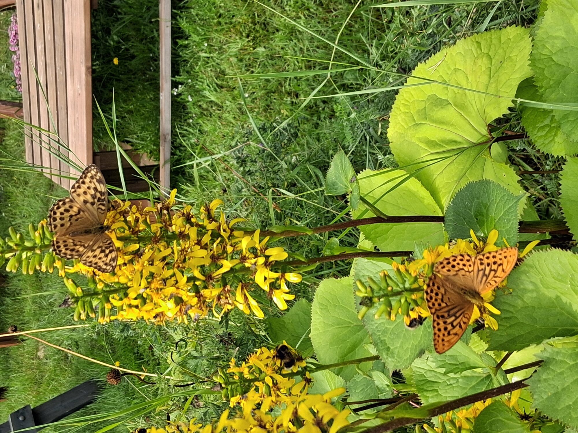 Valokuvaaja: Elina Karvo