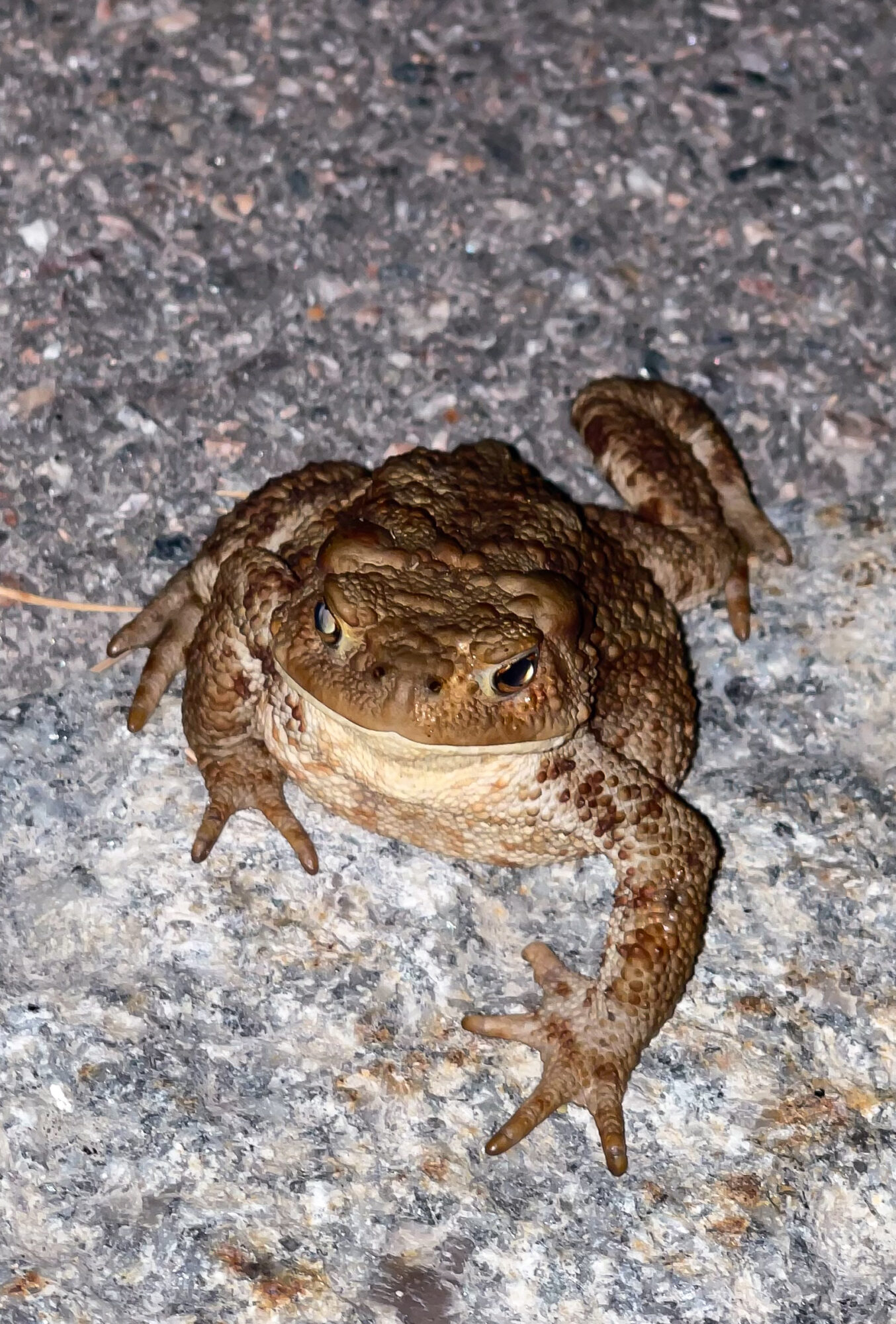 Valokuvaaja: Tuomo Salminen