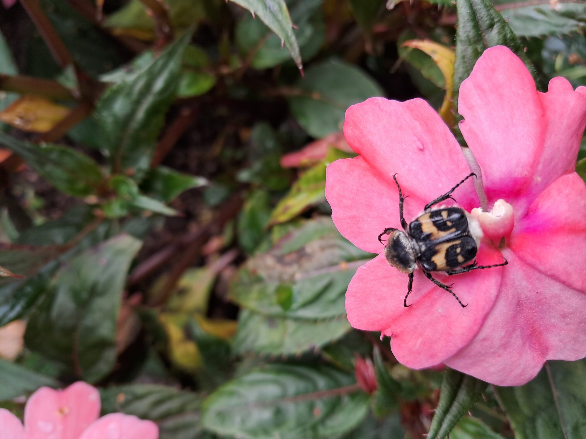 Valokuvaaja: Mia Halme