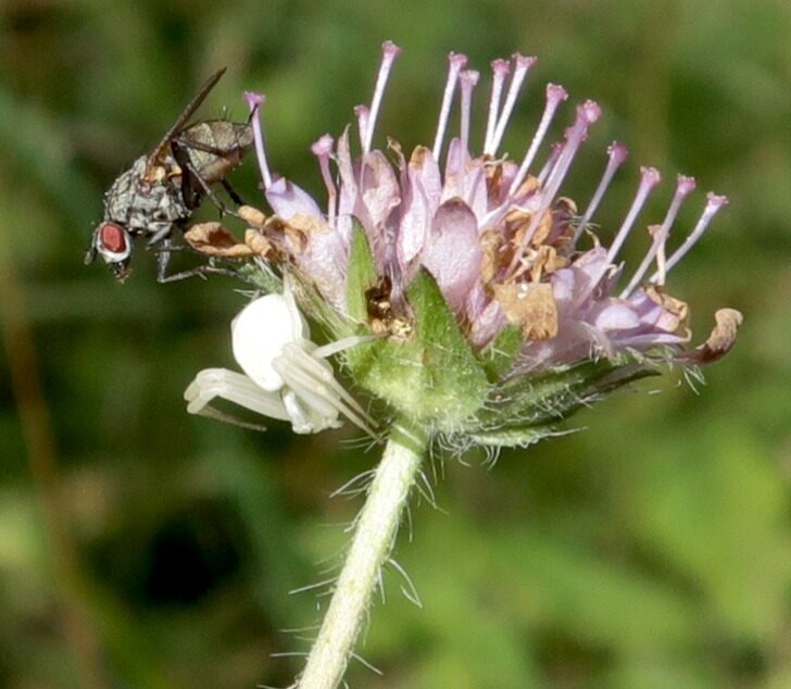 Valokuvaaja: Anssi Mäkinen