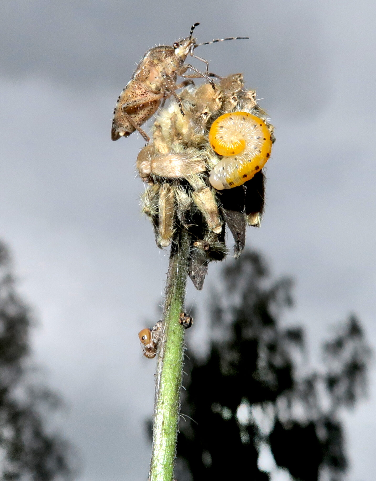 Valokuvaaja: Anssi Mäkinen