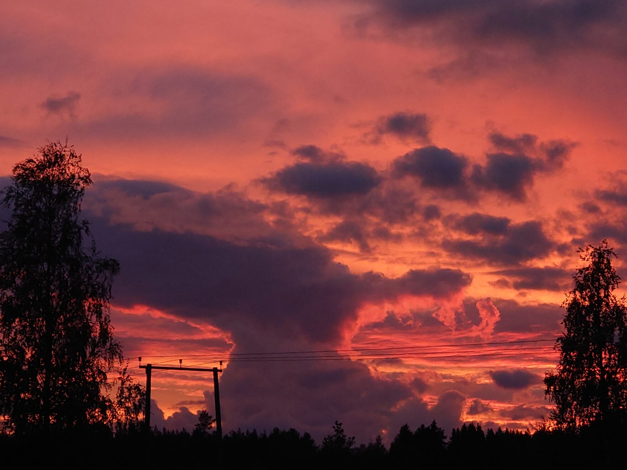 Valokuvaaja: Jouni Roppola