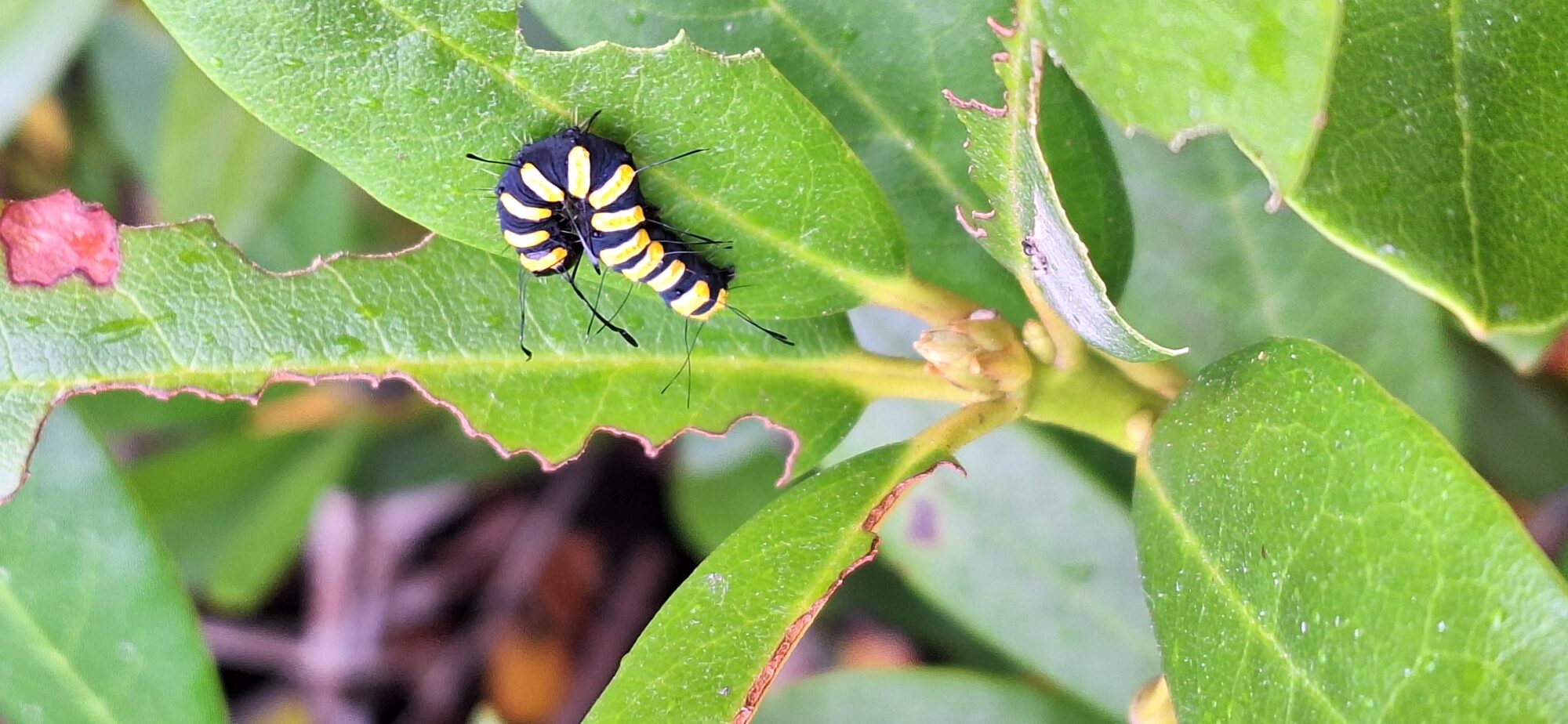 Valokuvaaja: Riitta Mustonen