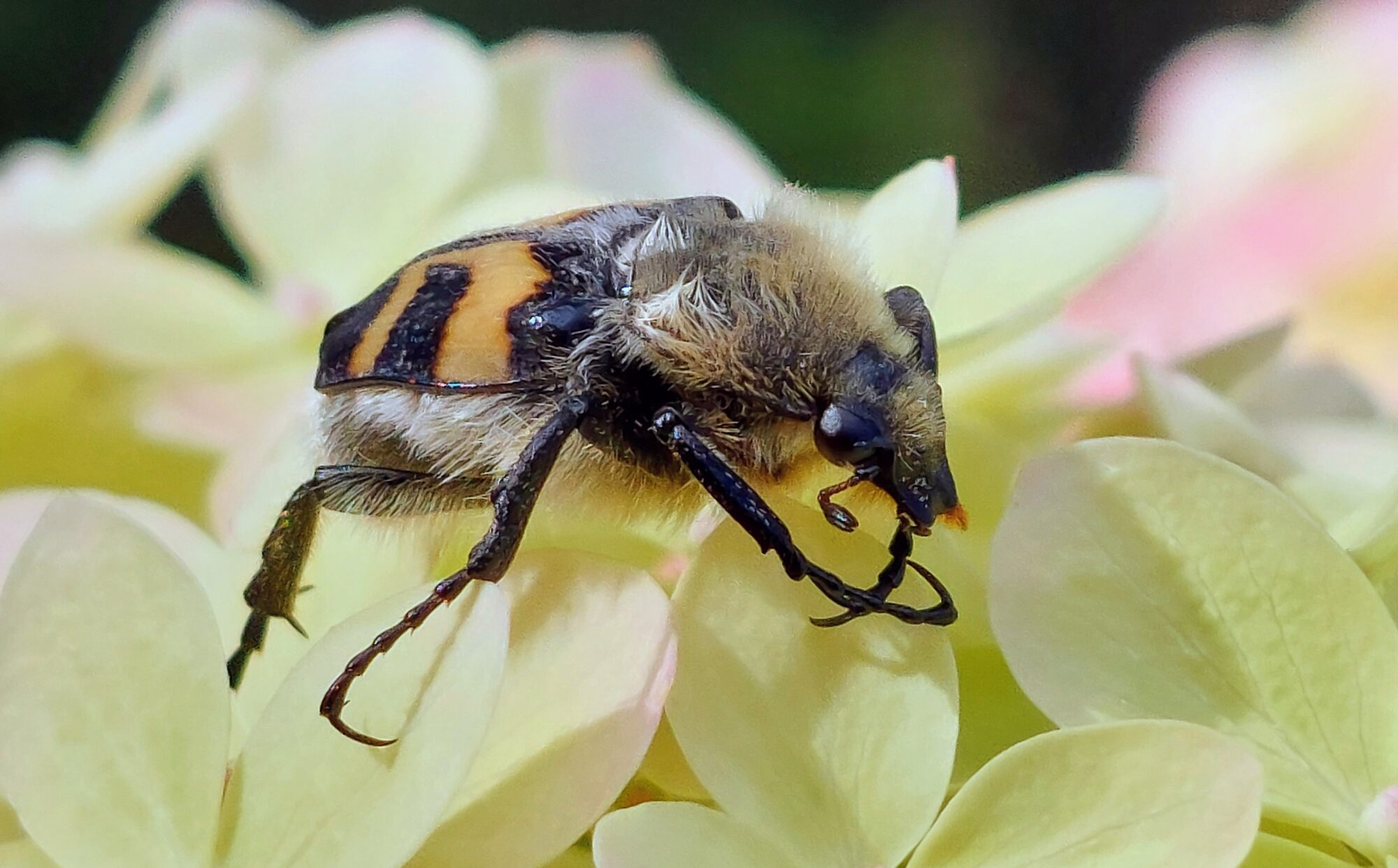 Valokuvaaja: Tarja Naukkarinen