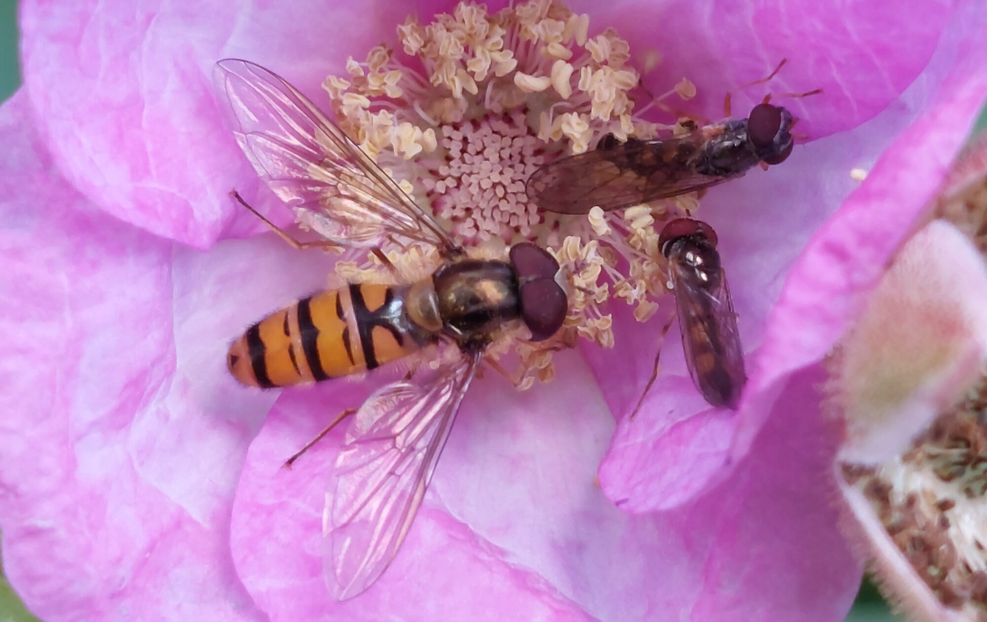 Valokuvaaja: Tarja Naukkarinen