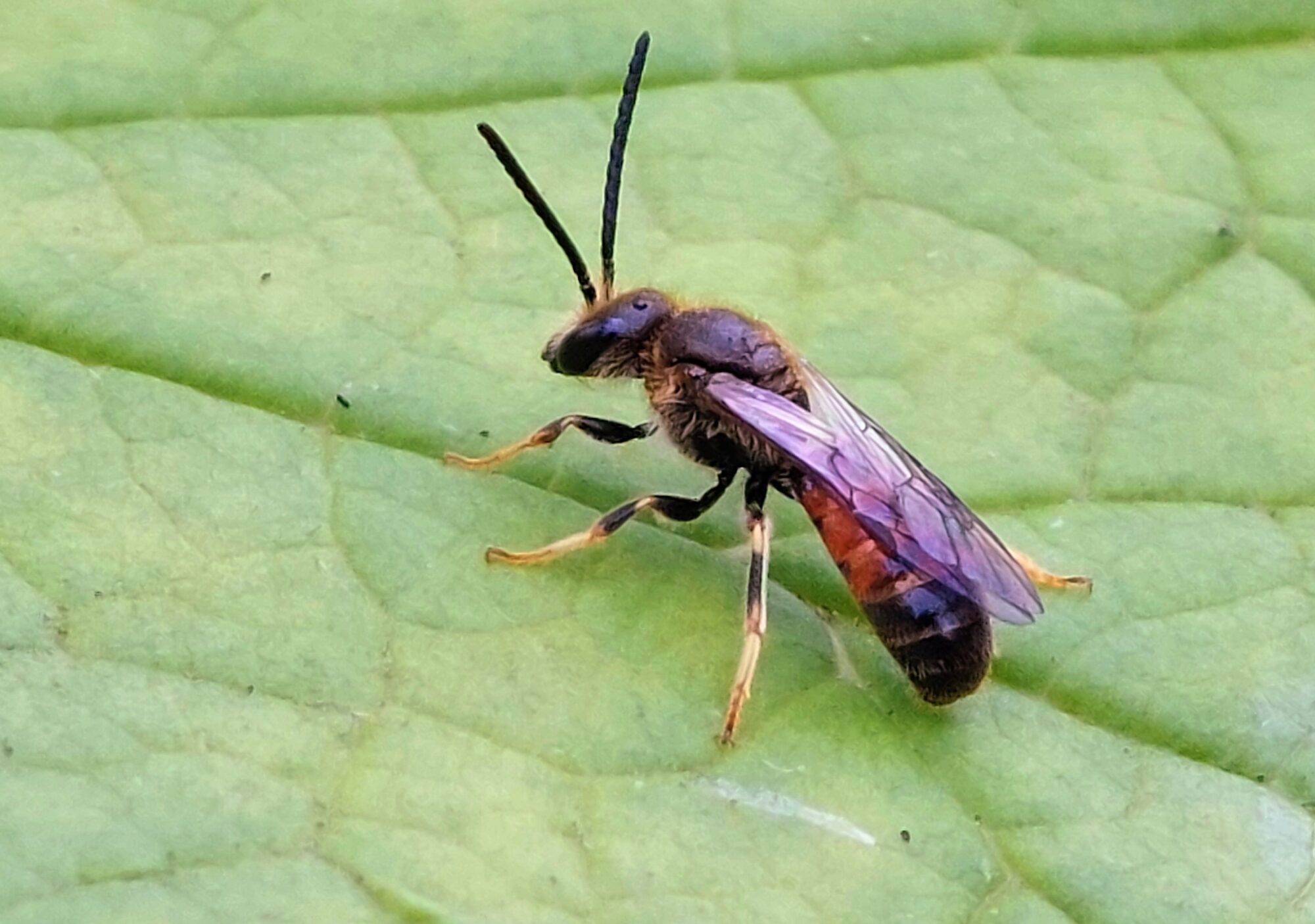 Valokuvaaja: Tarja Naukkarinen