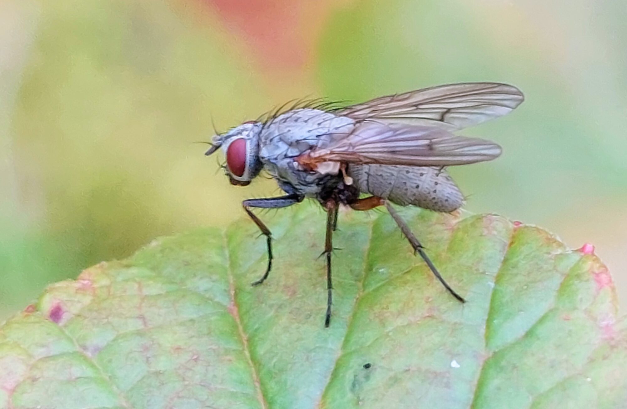 Valokuvaaja: Tarja Naukkarinen