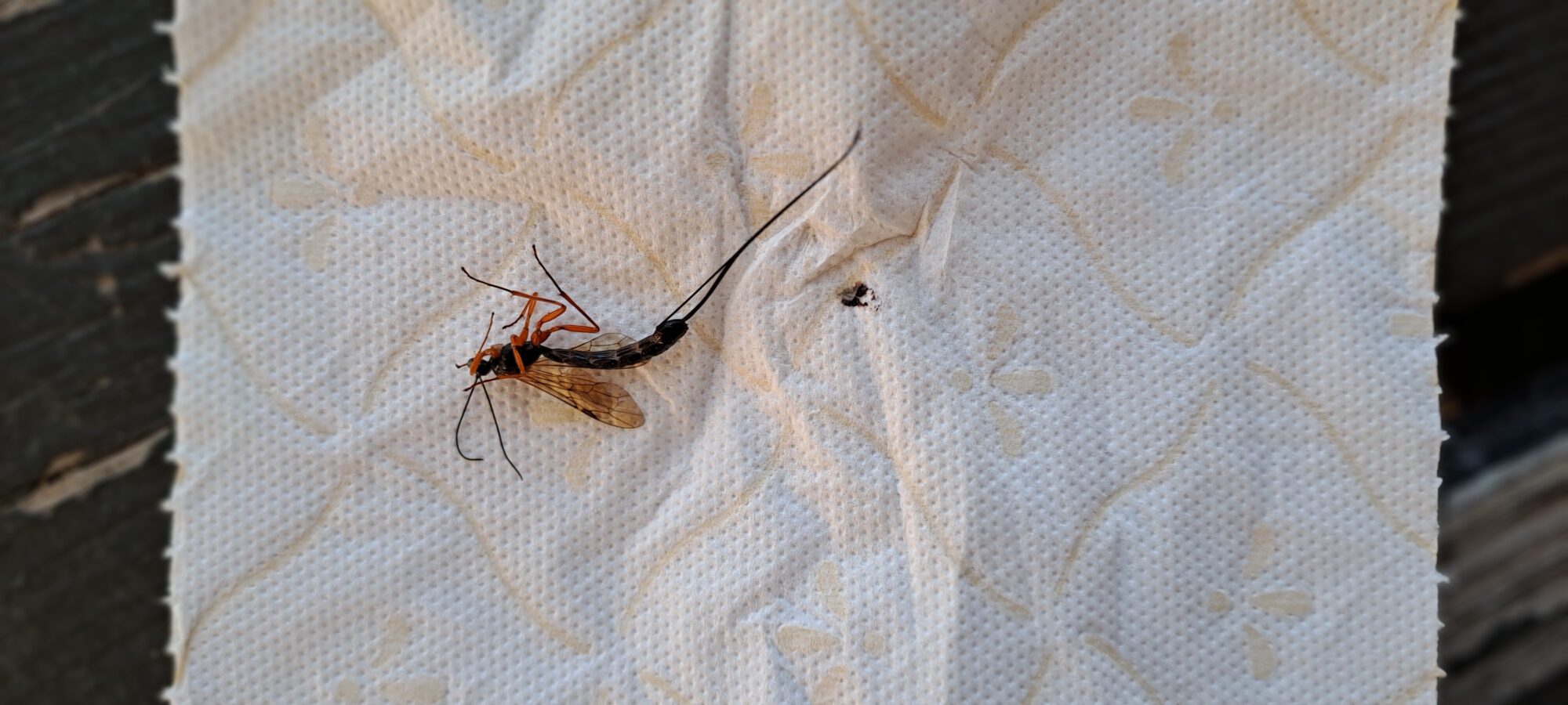 Valokuvaaja: Antti Kuisma Valokuvaaja: Antti Kuisma