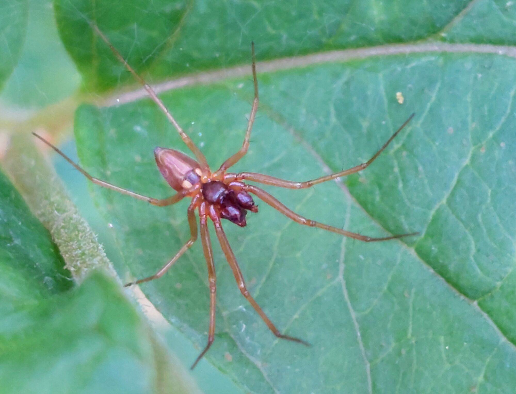 Valokuvaaja: Tarja Naukkarinen