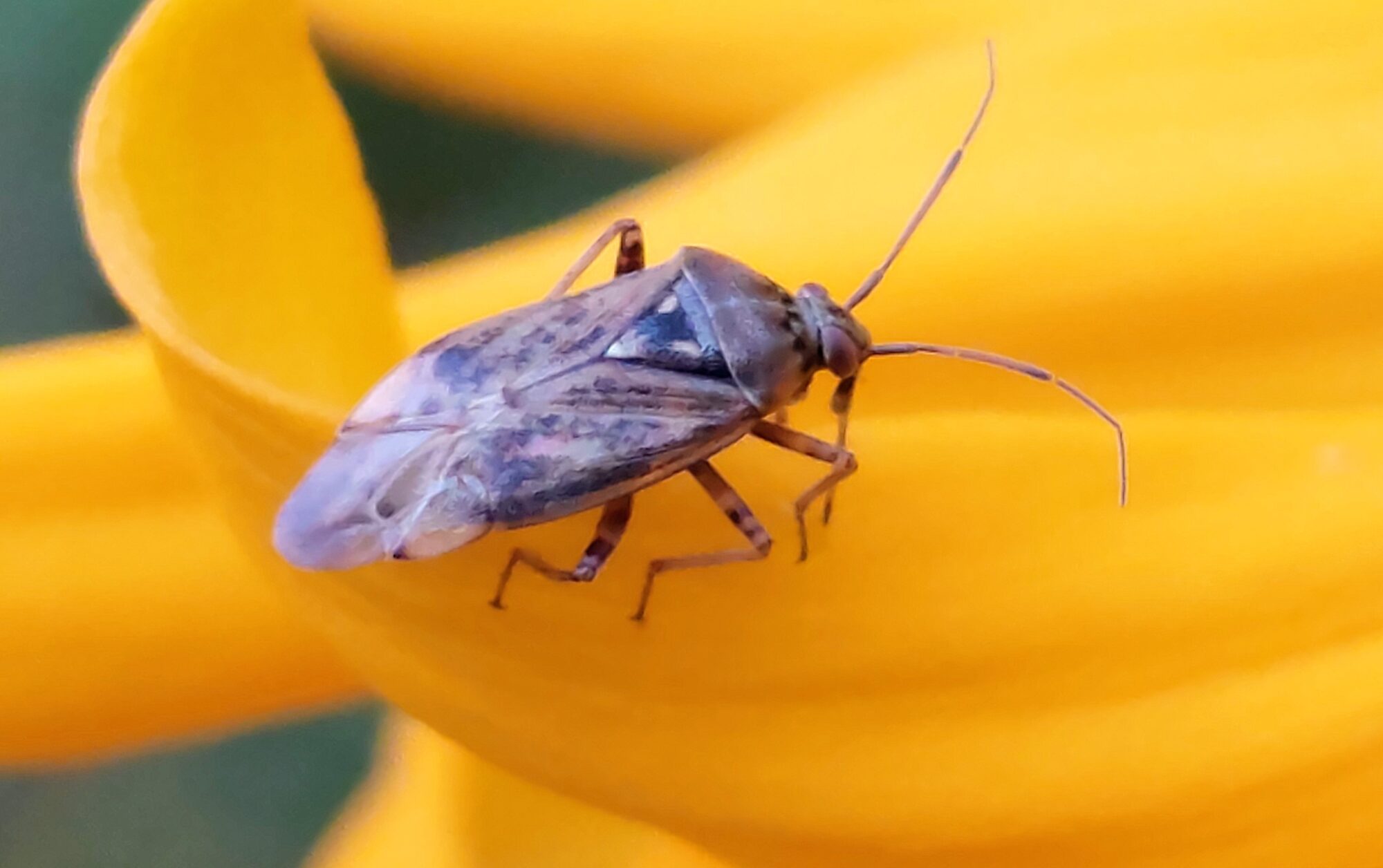 Valokuvaaja: Tarja Naukkarinen