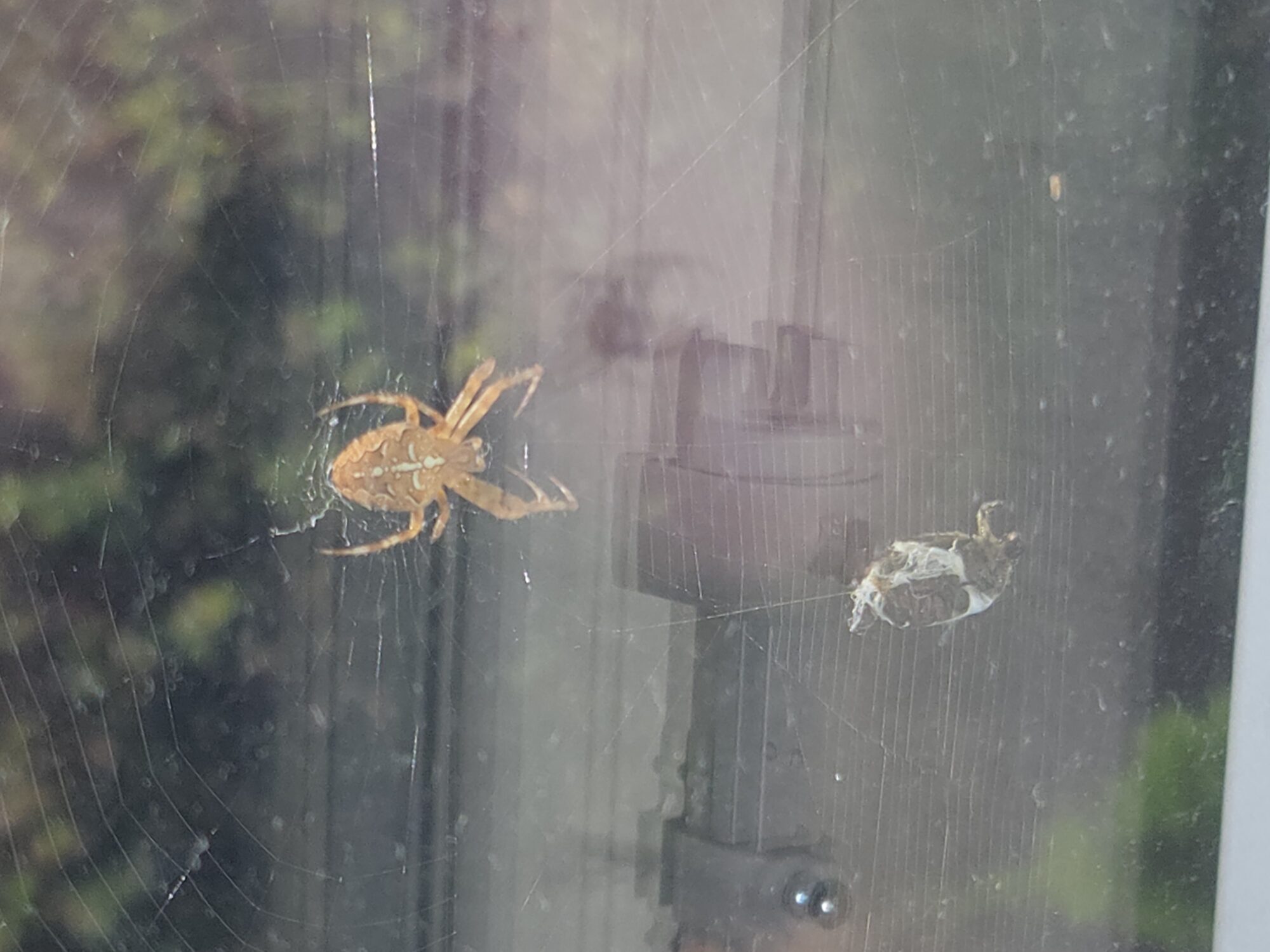 Valokuvaaja: Antti Koskinen