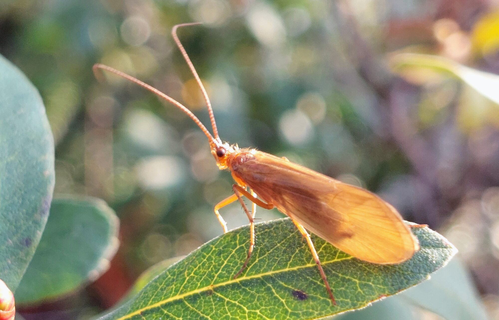 Valokuvaaja: Tarja Naukkarinen Valokuvaaja: Tarja Naukkarinen