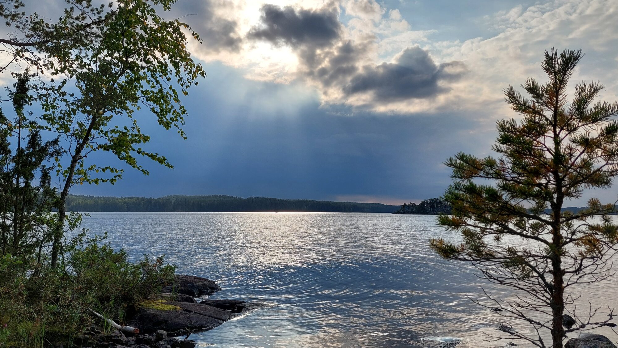 Valokuvaaja: Tarja Naukkarinen Valokuvaaja: Tarja Naukkarinen