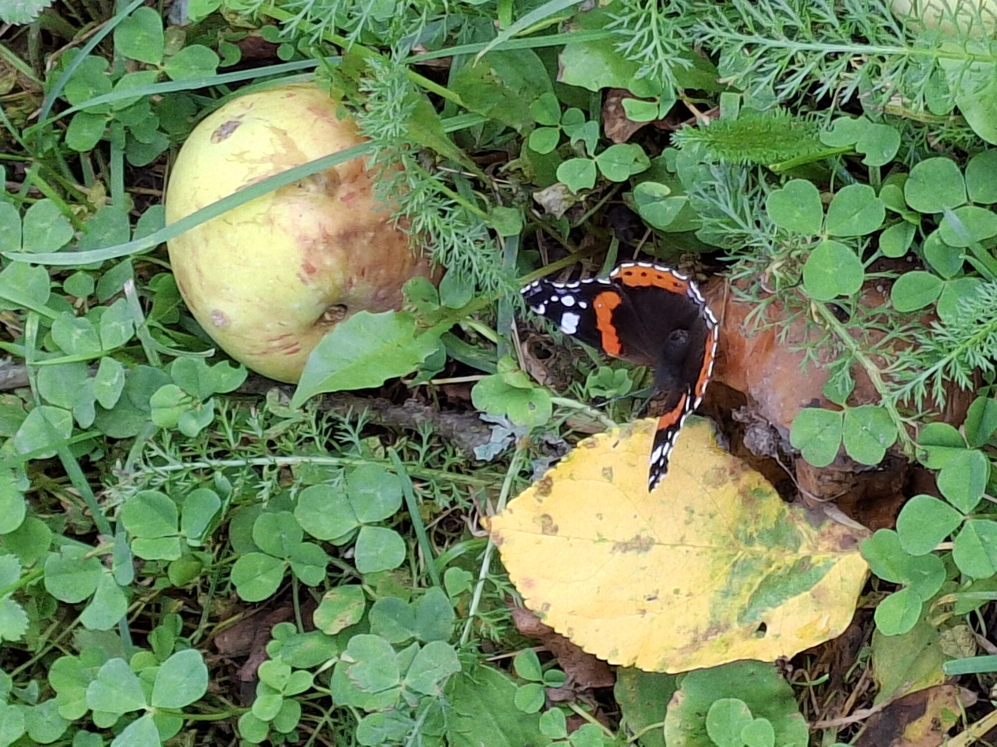 Valokuvaaja: Satu Suuntala