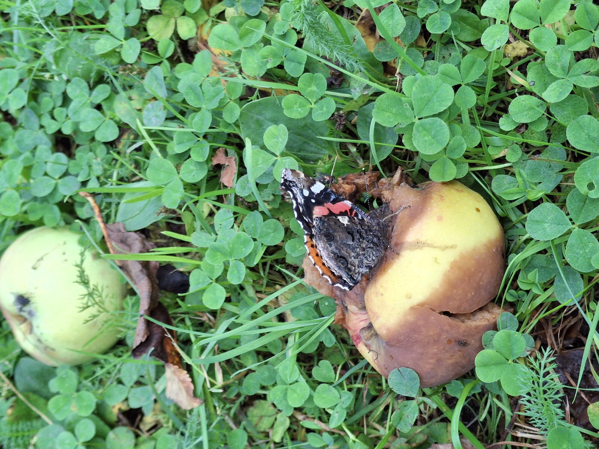 Valokuvaaja: Satu Suuntala