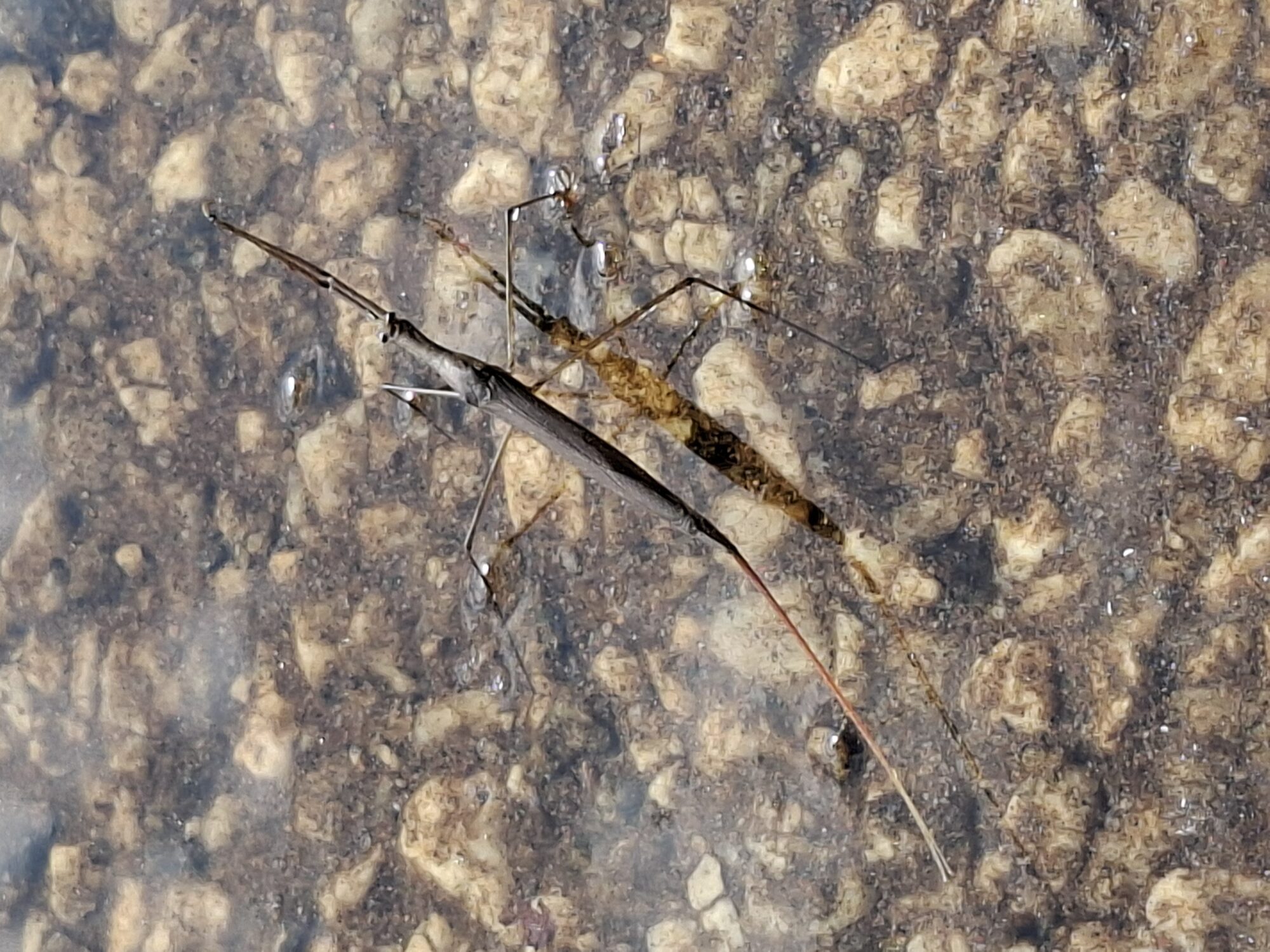 Valokuvaaja: Marja-Leena Hämäläinen