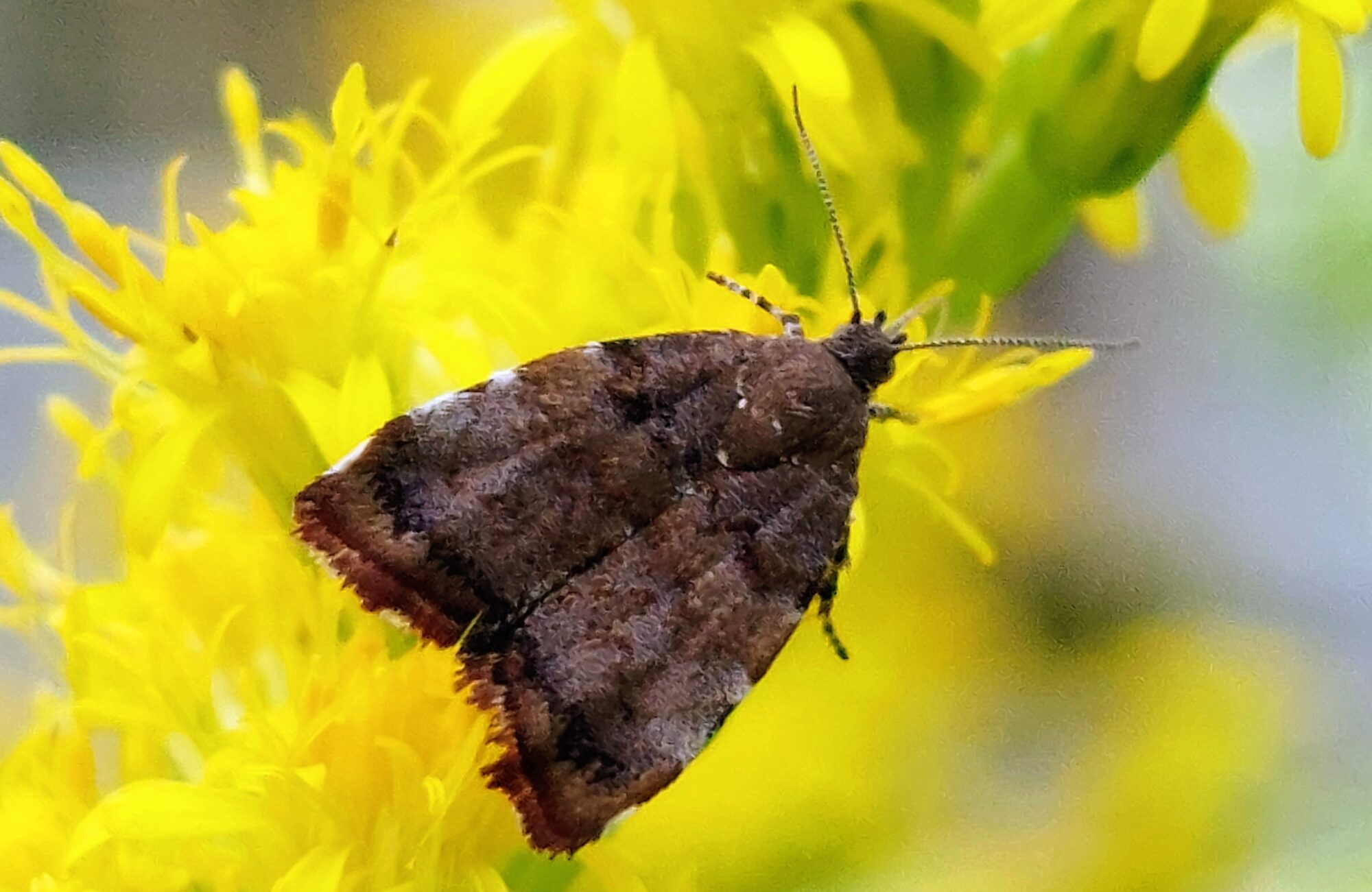 Valokuvaaja: Tarja Naukkarinen