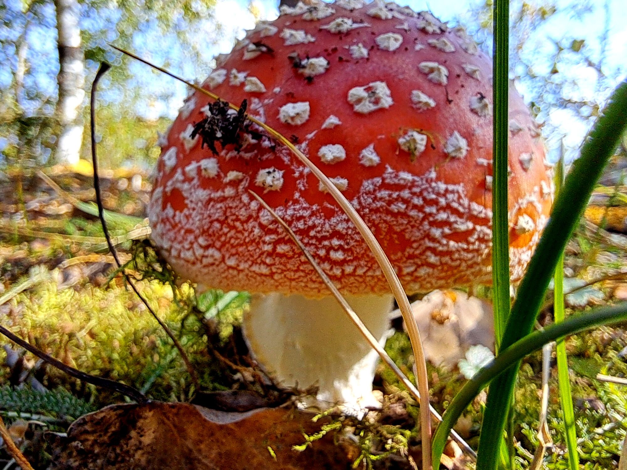 Valokuvaaja: Irja Lehtinen