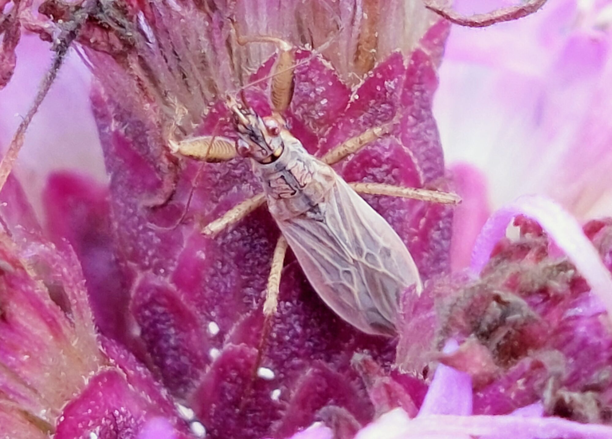 Valokuvaaja: Tarja Naukkarinen