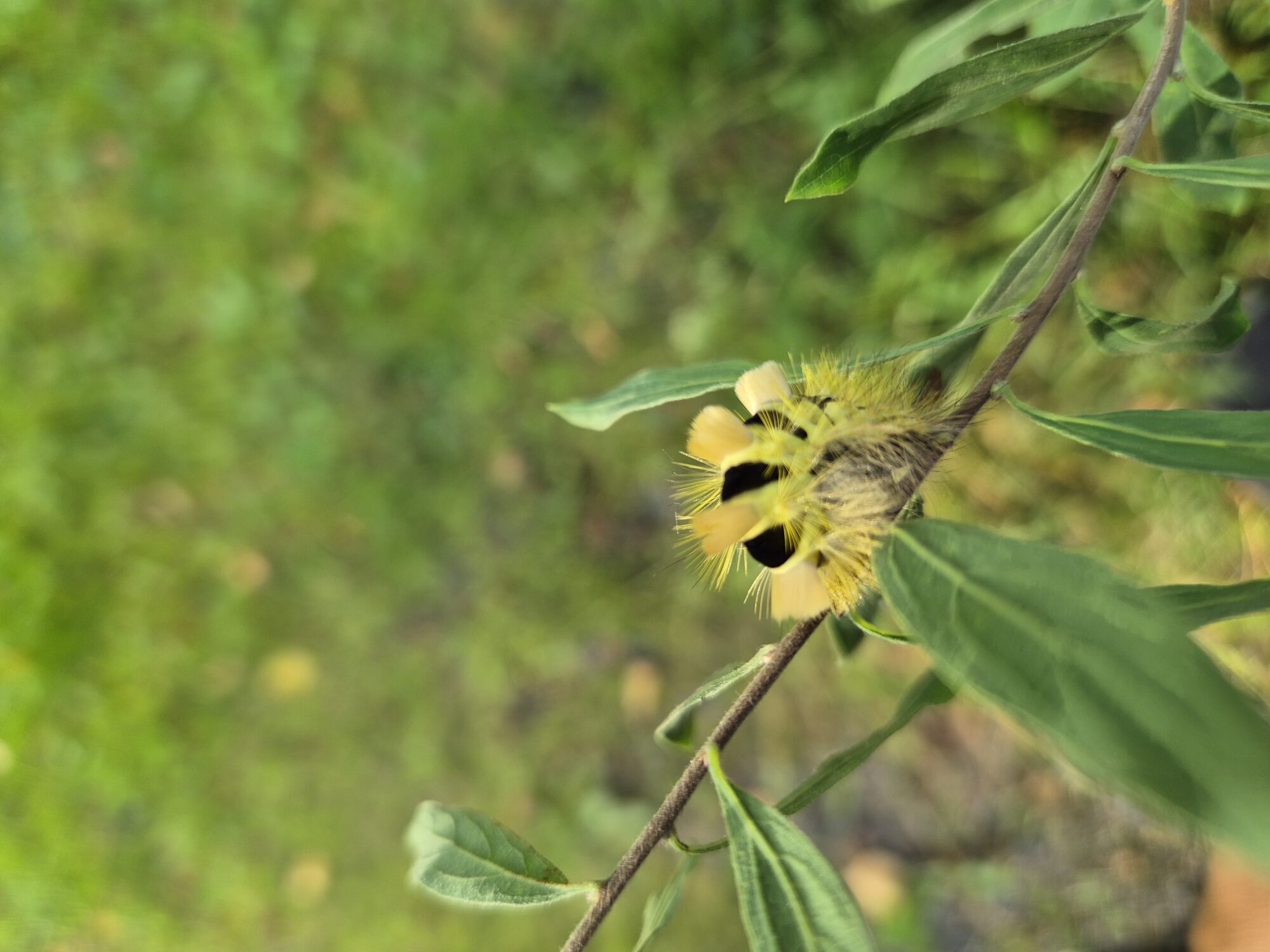 Valokuvaaja: Riia Lehti