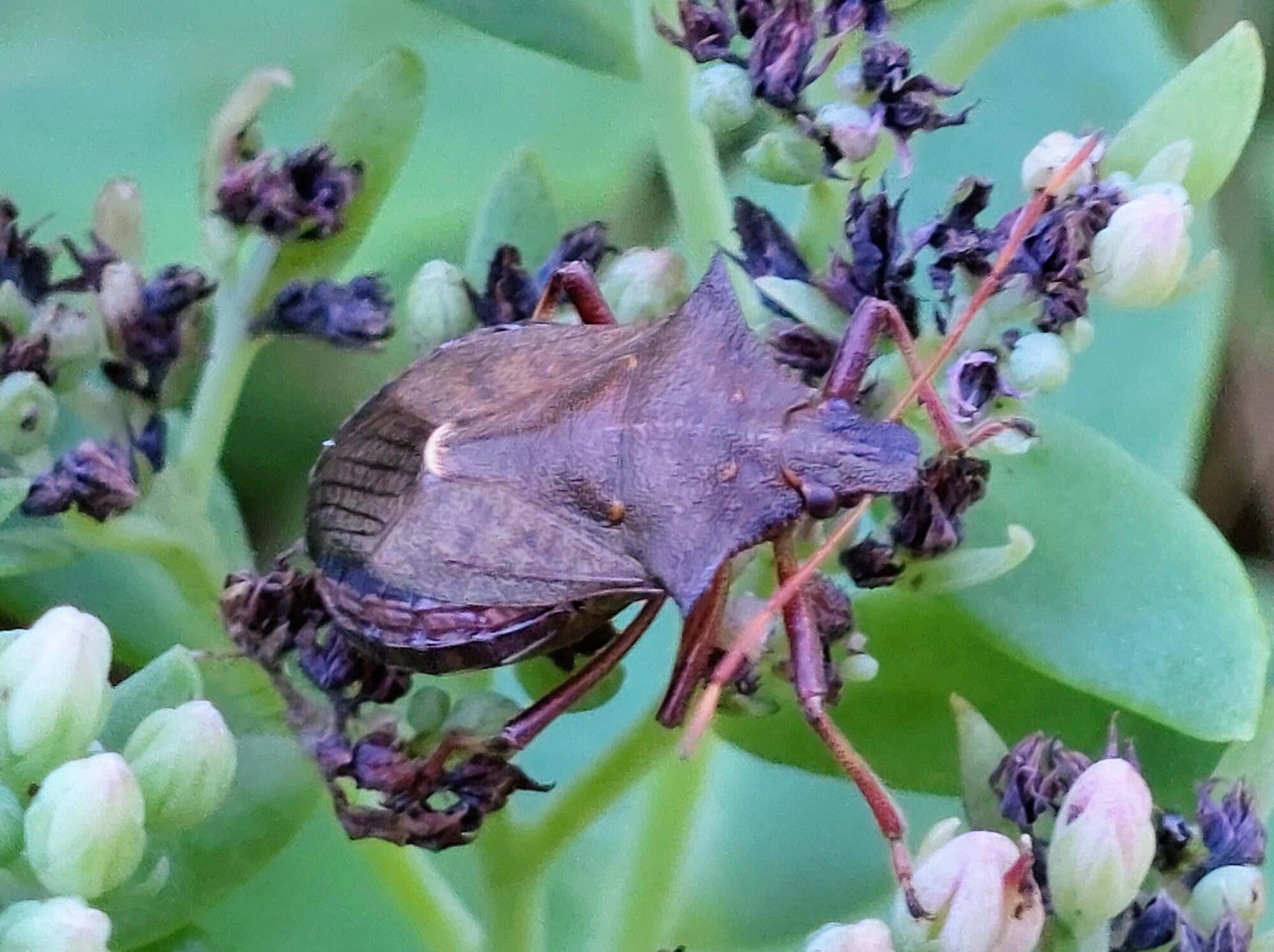 Valokuvaaja: Tarja Naukkarinen