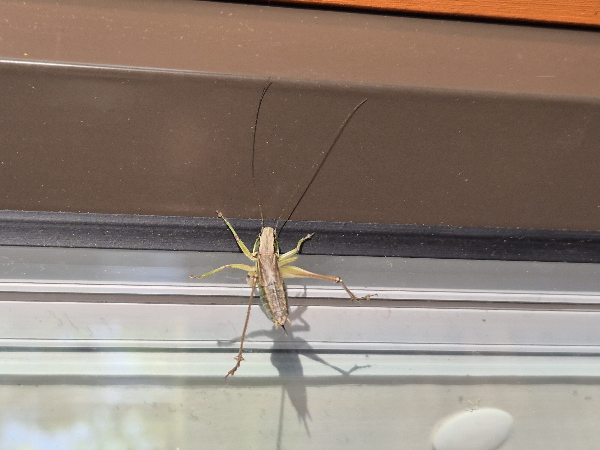 Valokuvaaja: Kari Kolehmainen