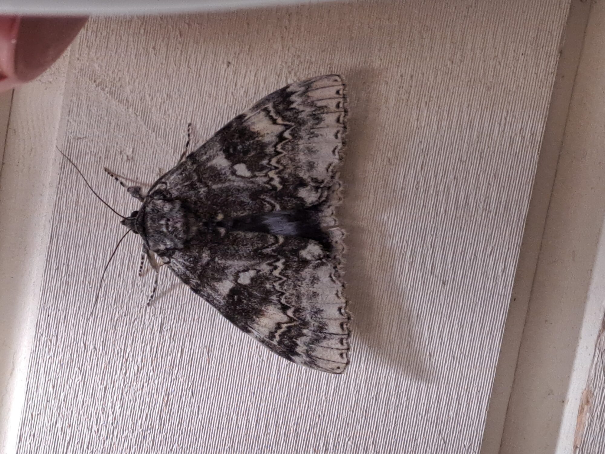 Valokuvaaja: Piia Savela