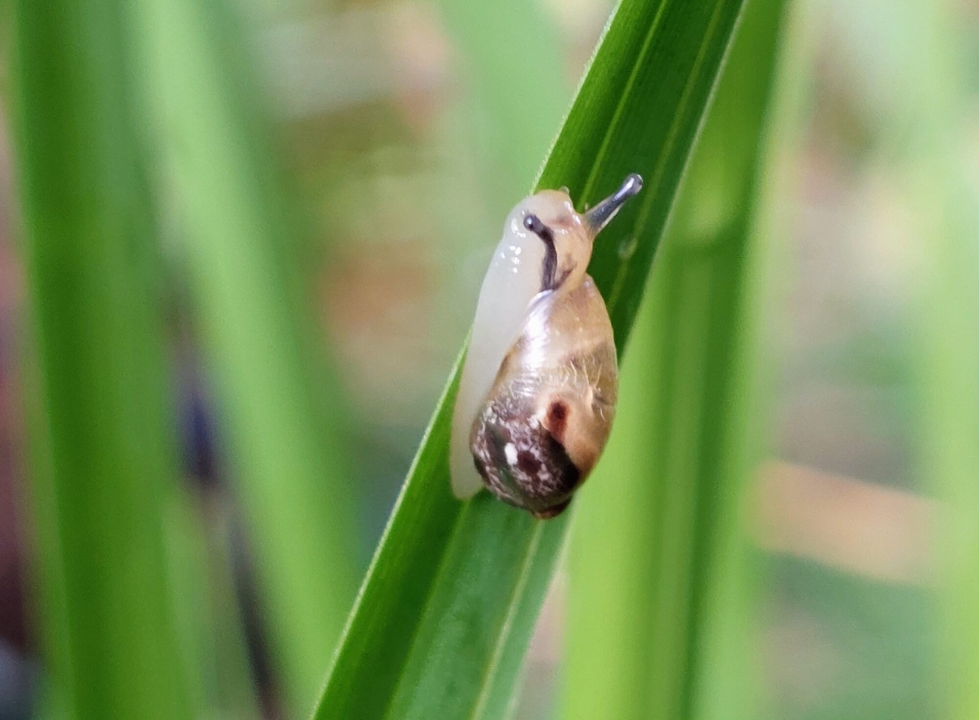 Valokuvaaja: Tarja Naukkarinen