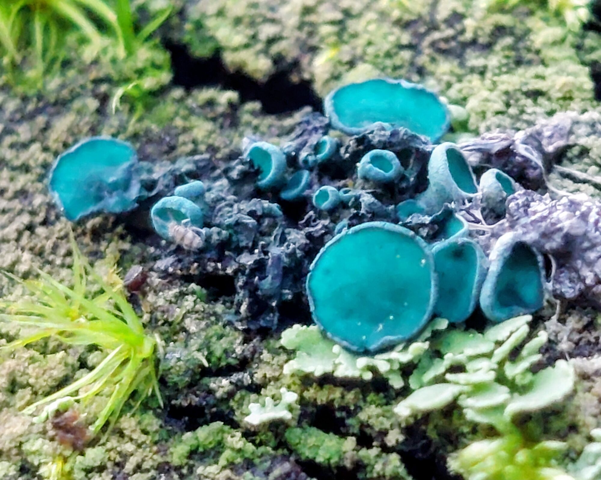 Valokuvaaja: Tarja Naukkarinen