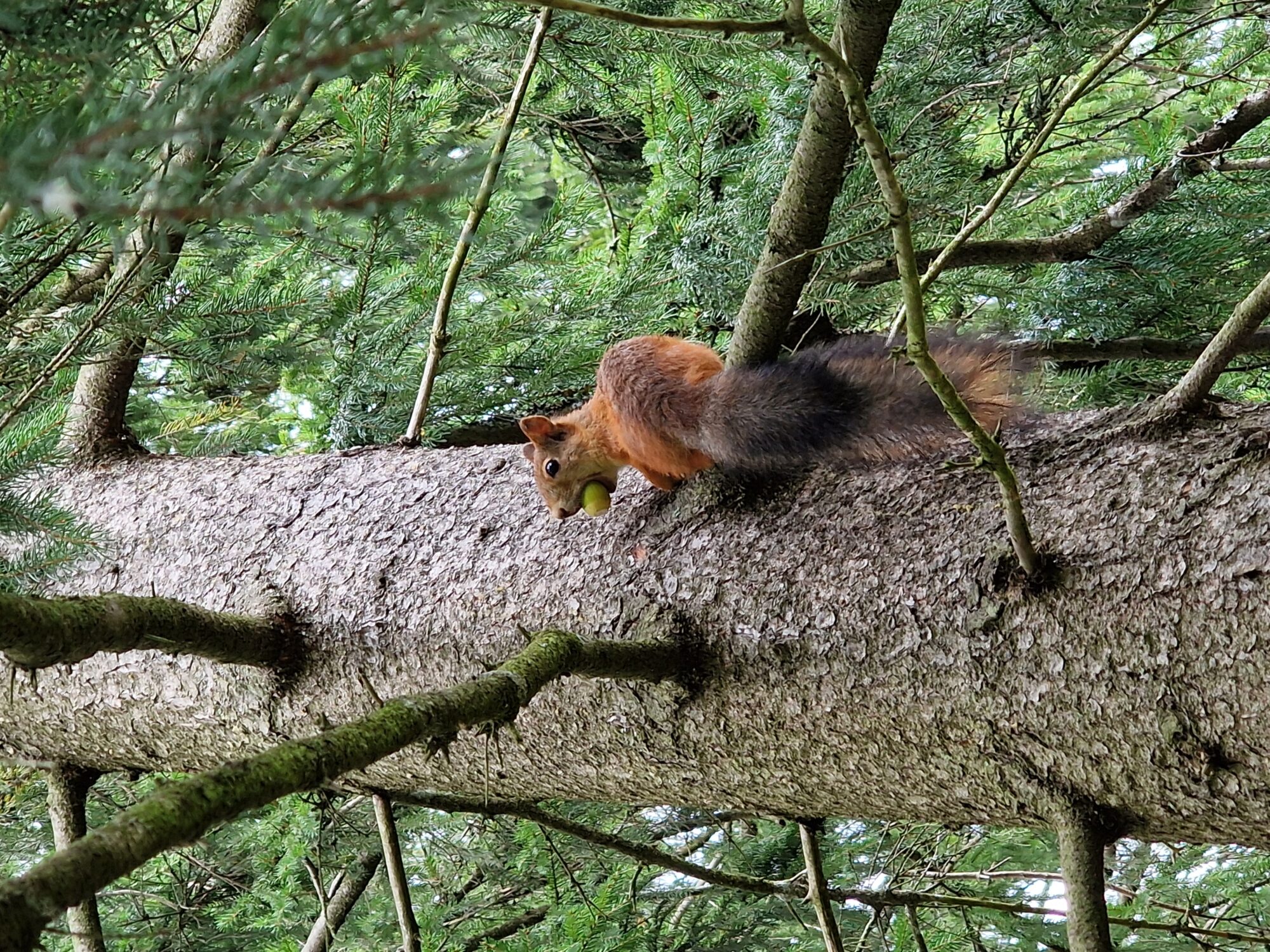 Valokuvaaja: Mirella Miettinen