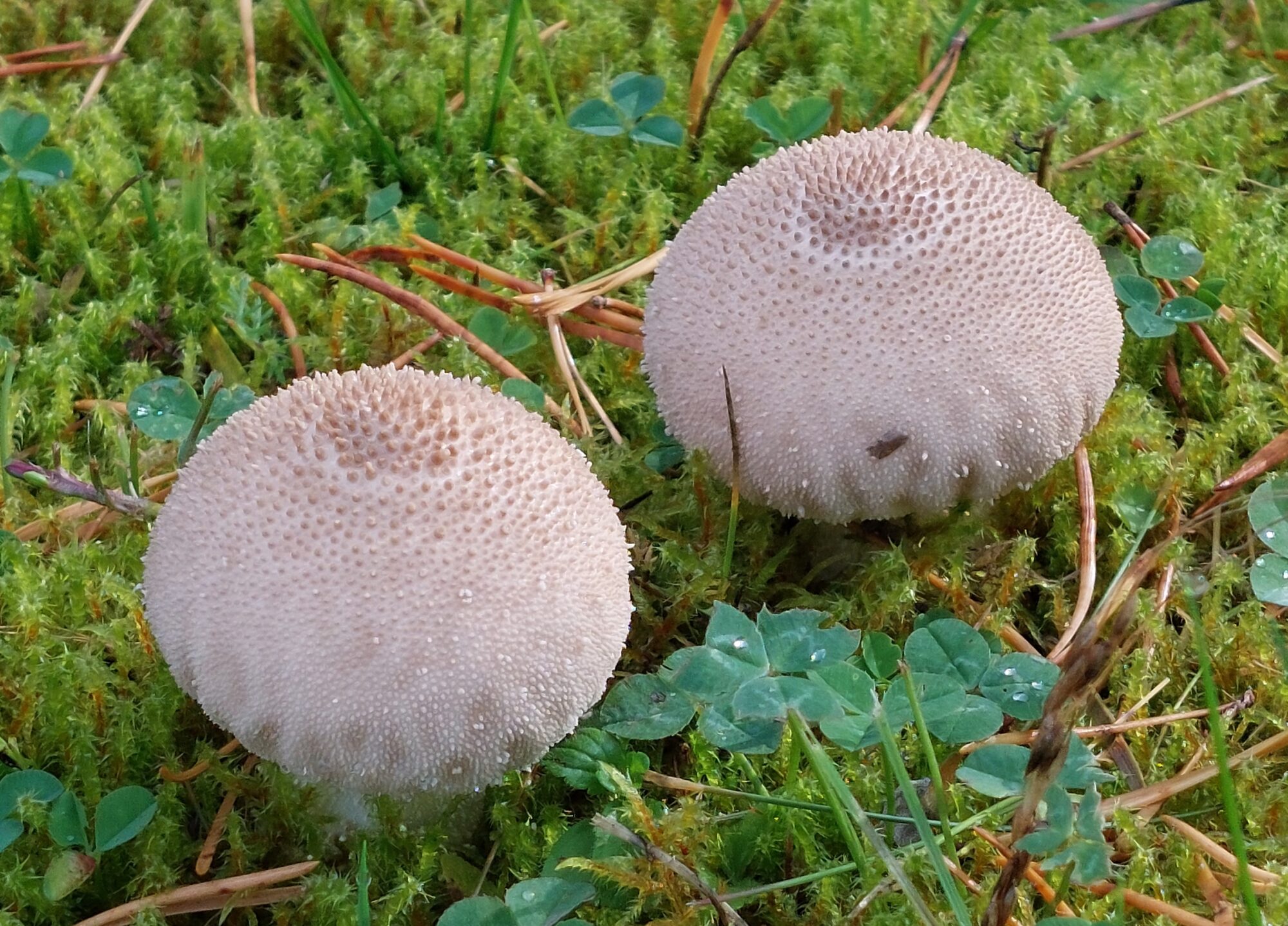 Valokuvaaja: Tarja Naukkarinen