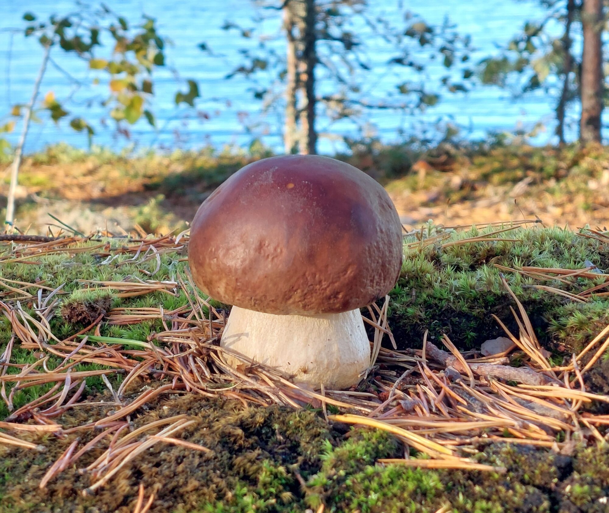 Valokuvaaja: Tarja Naukkarinen