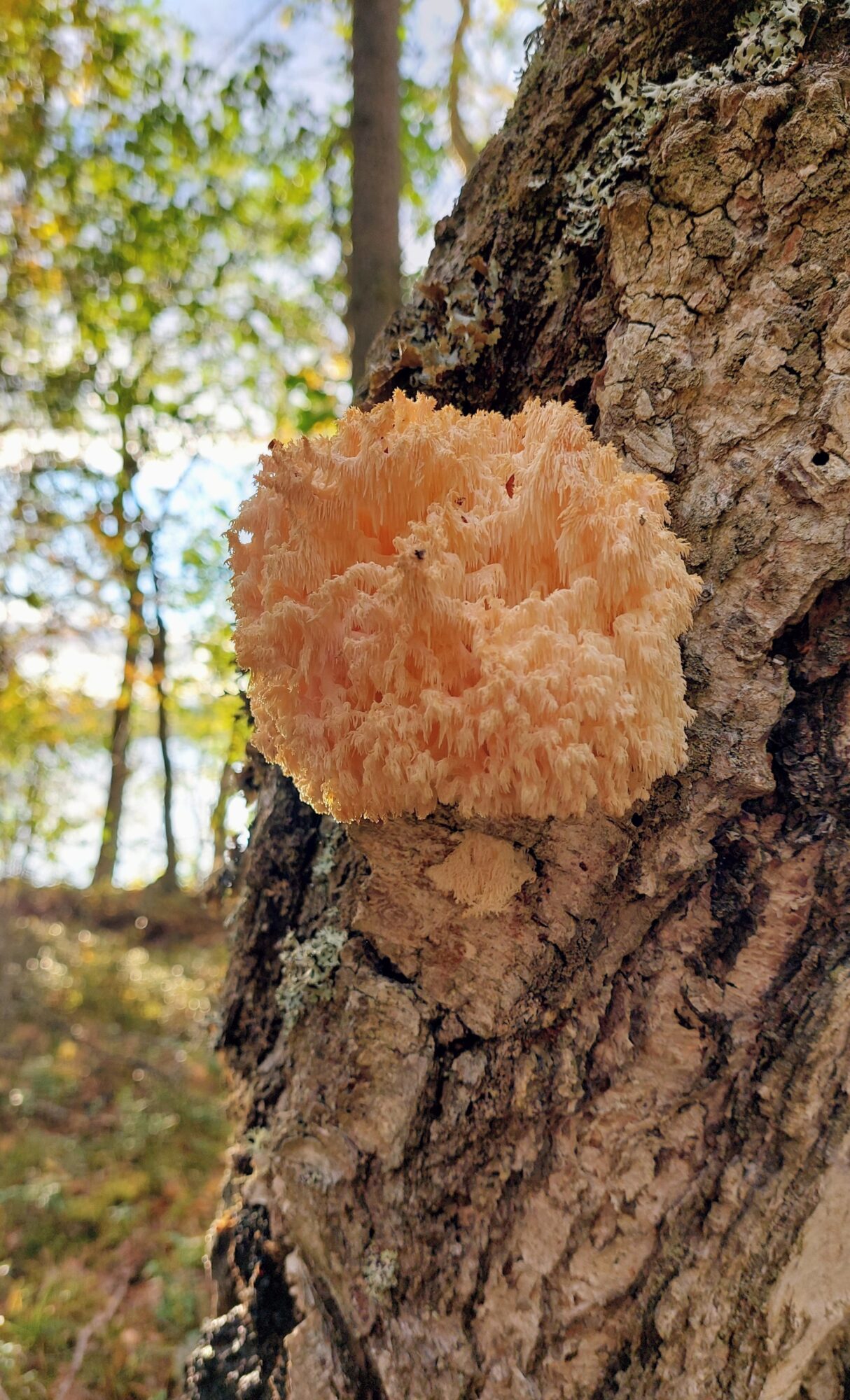 Valokuvaaja: Tarja Naukkarinen